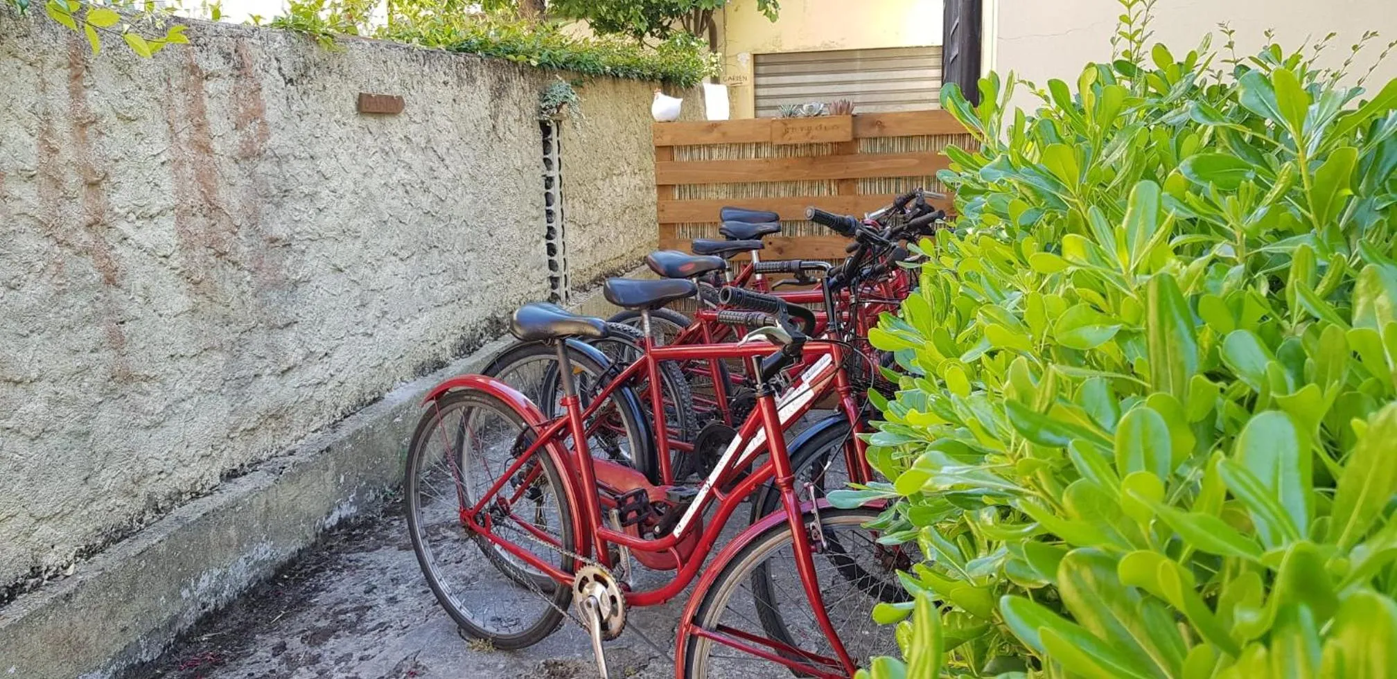 Cycling in Villa Noemi Bed&Breakfast