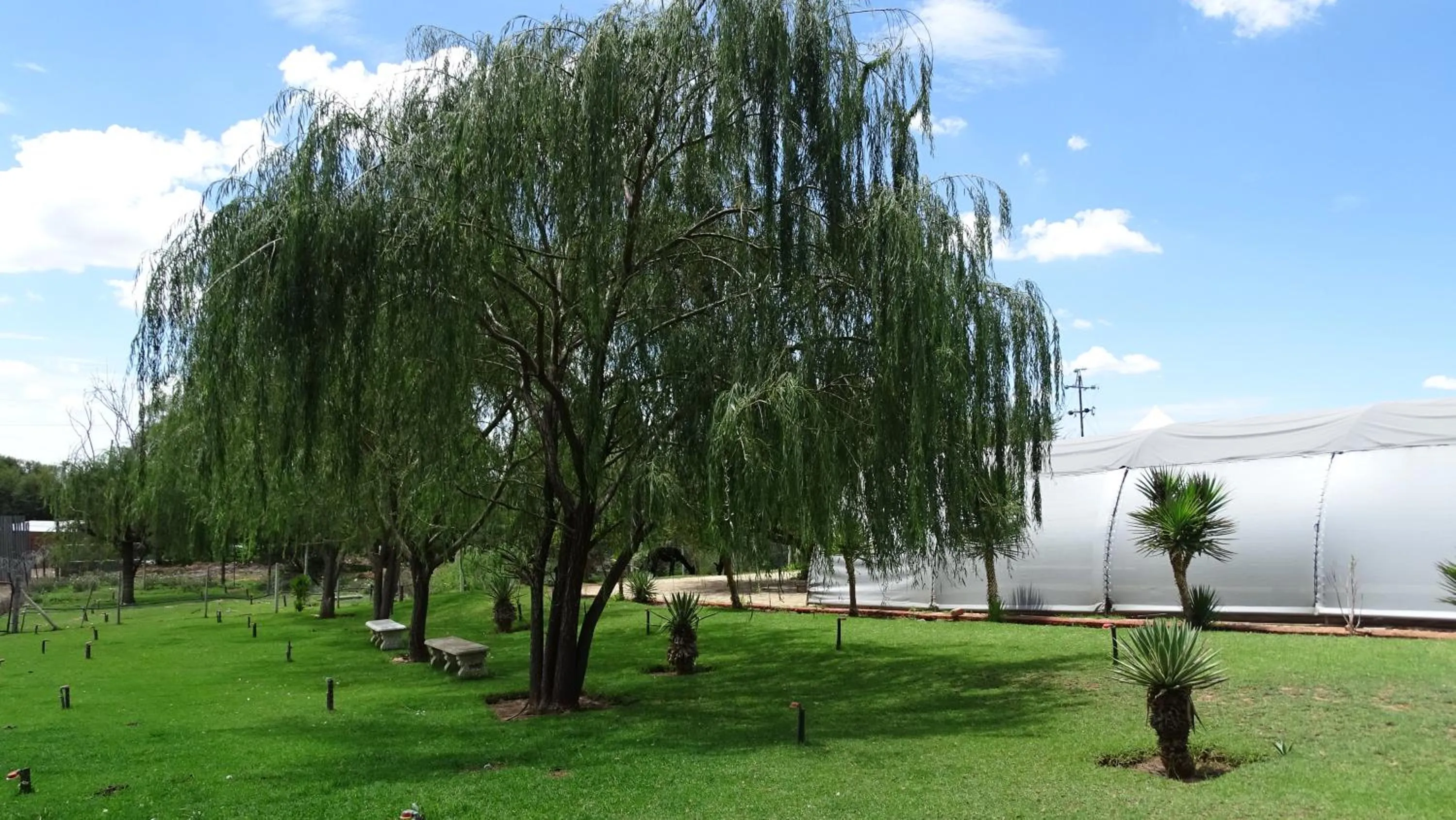 Garden in Eden Chalets