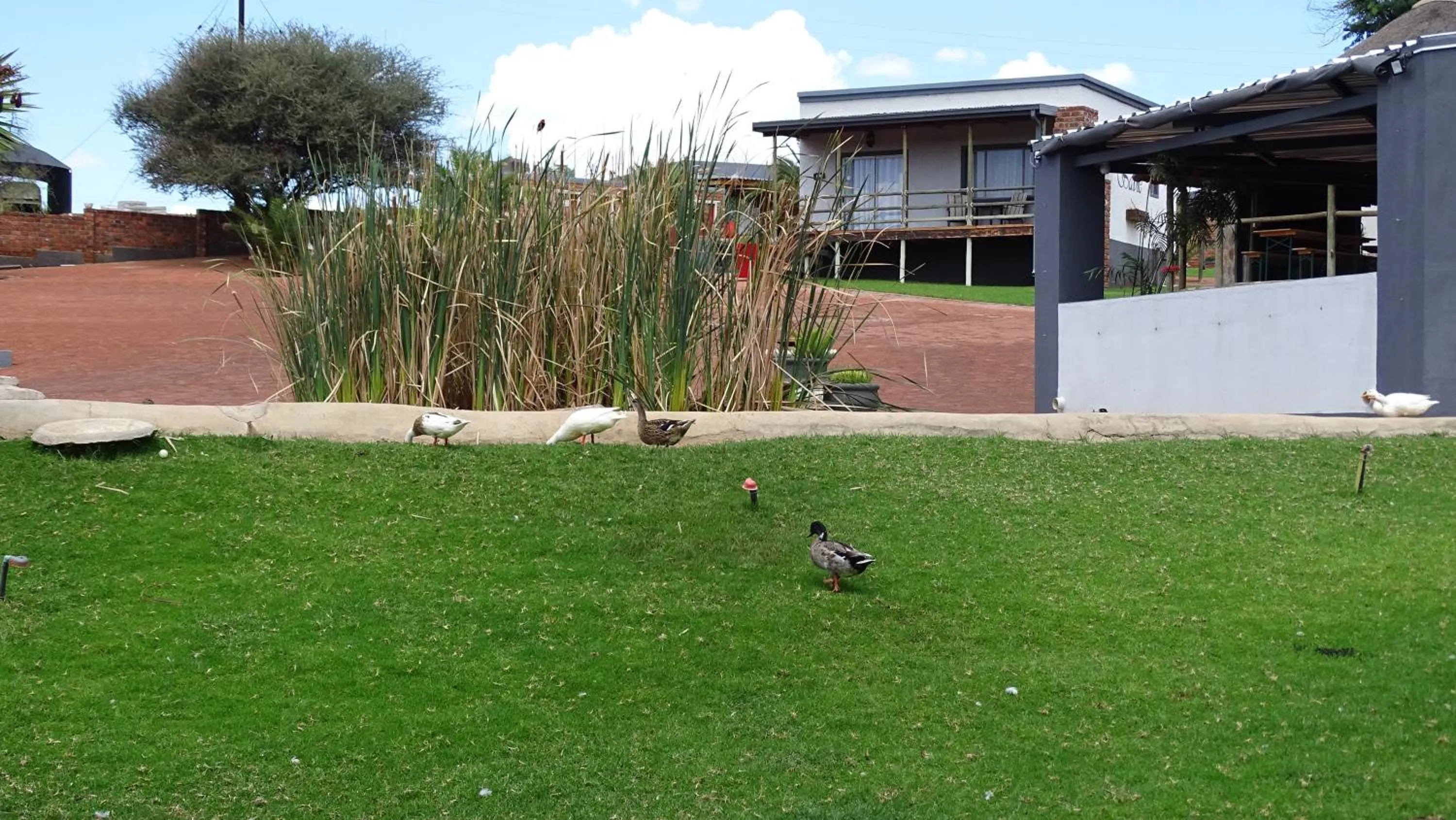 Garden in Eden Chalets