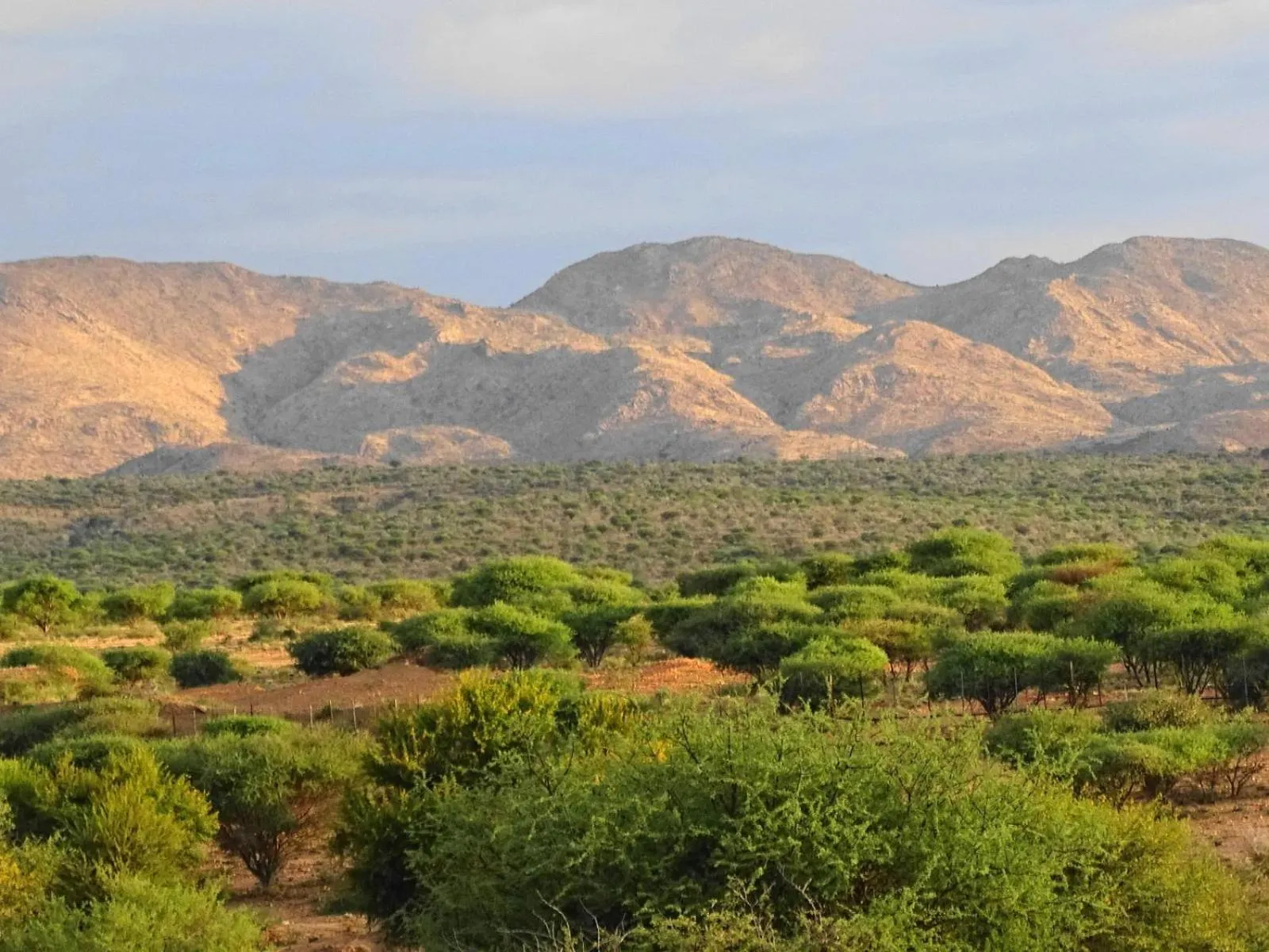 Mountain view in Eden Chalets