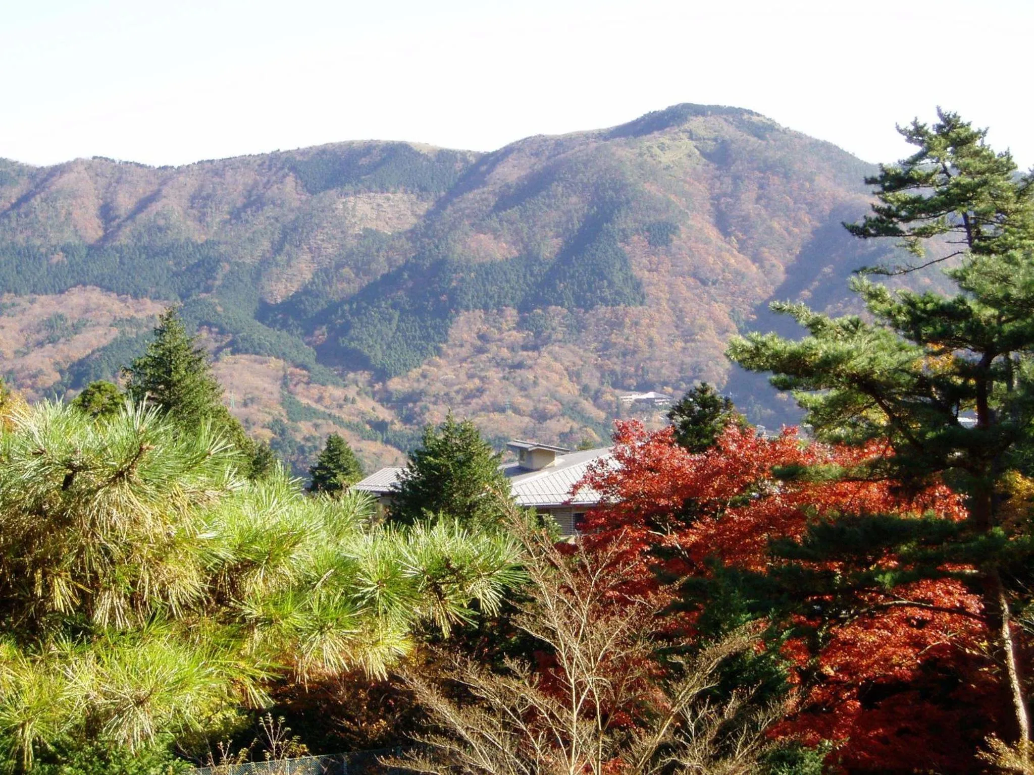 Natural landscape in Hotel Marroad Hakone
