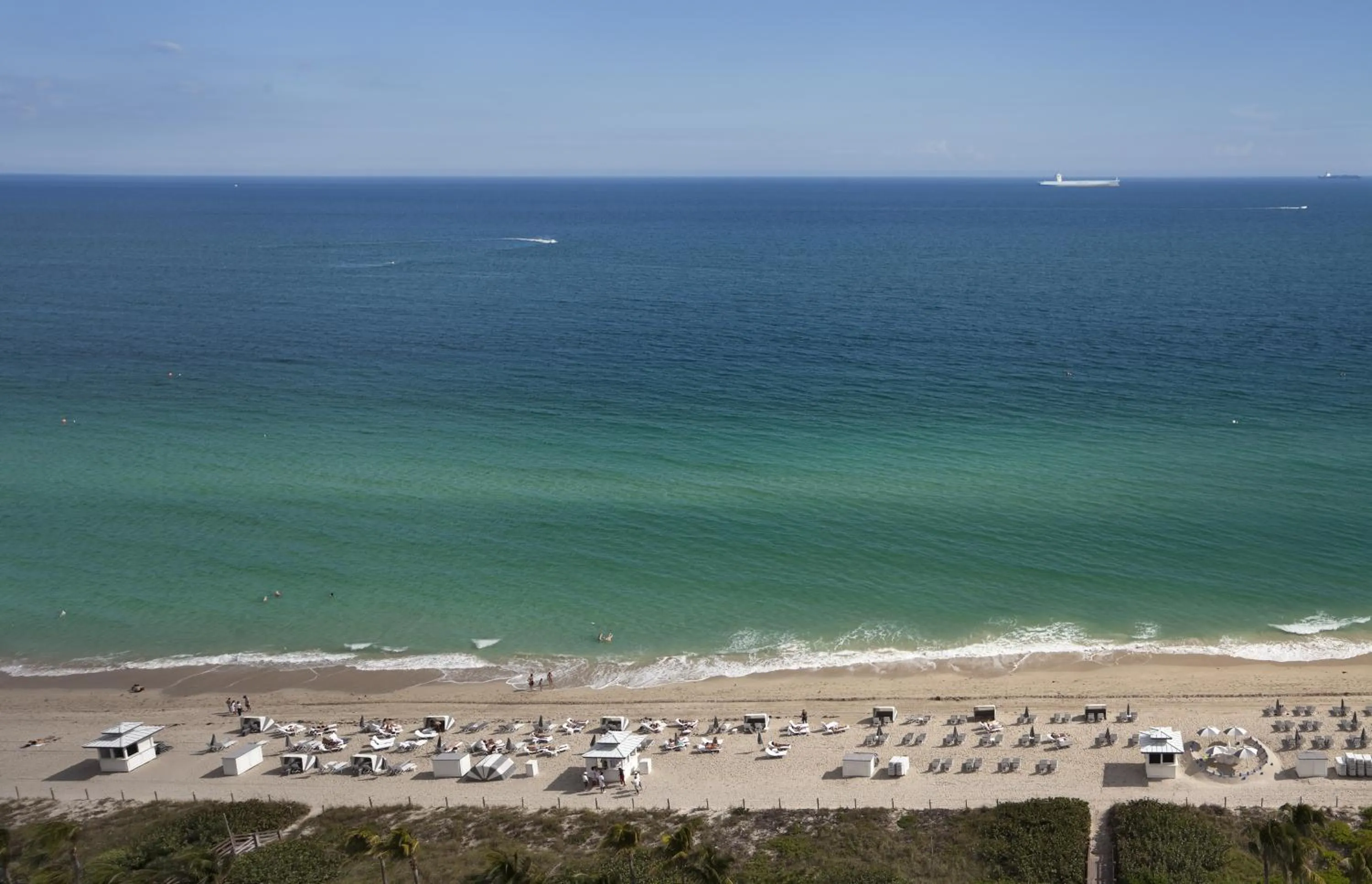Natural landscape in Fontainebleau Miami Beach