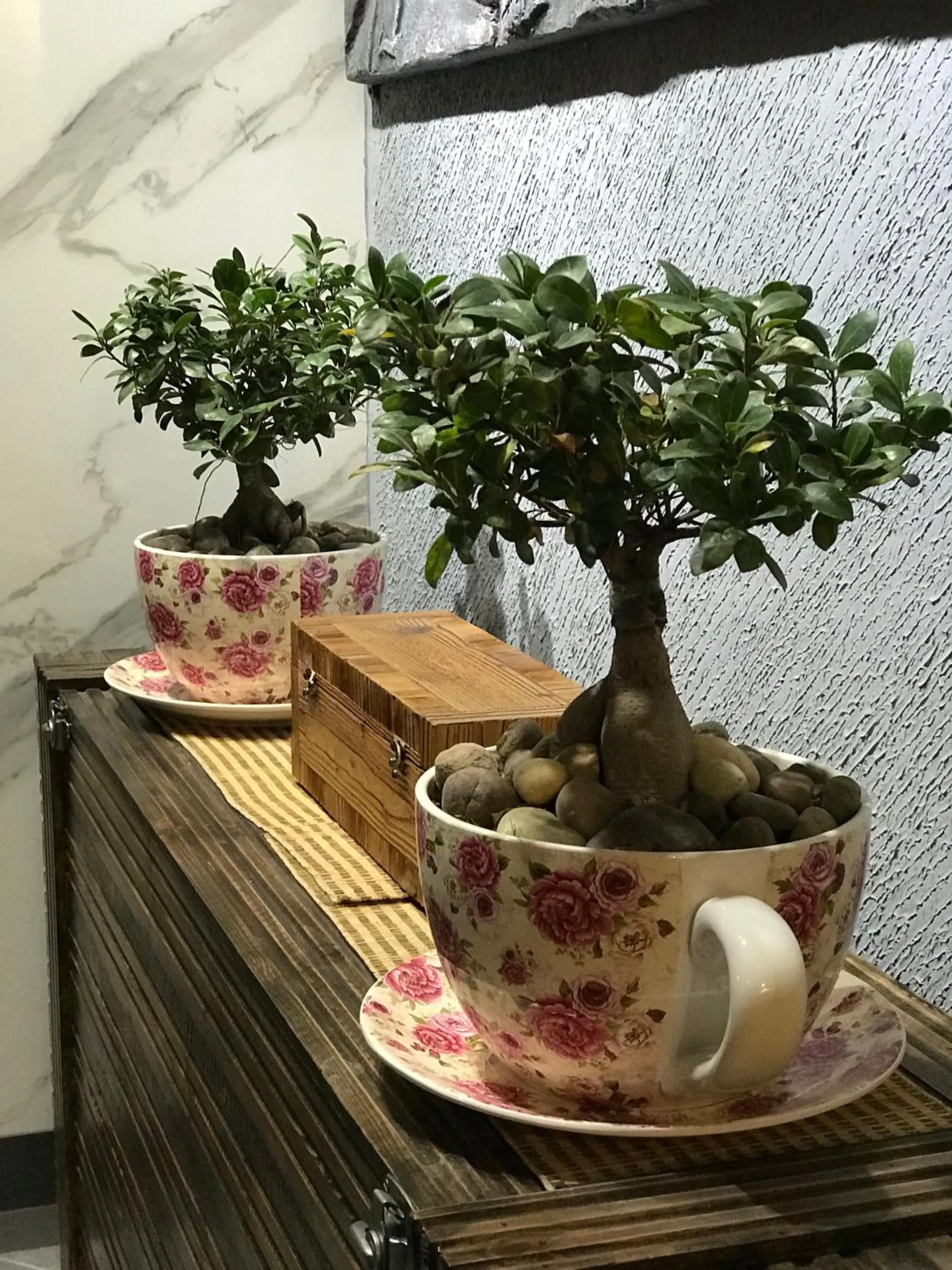 Area and facilities in Kanishka Retreat Resort Chail