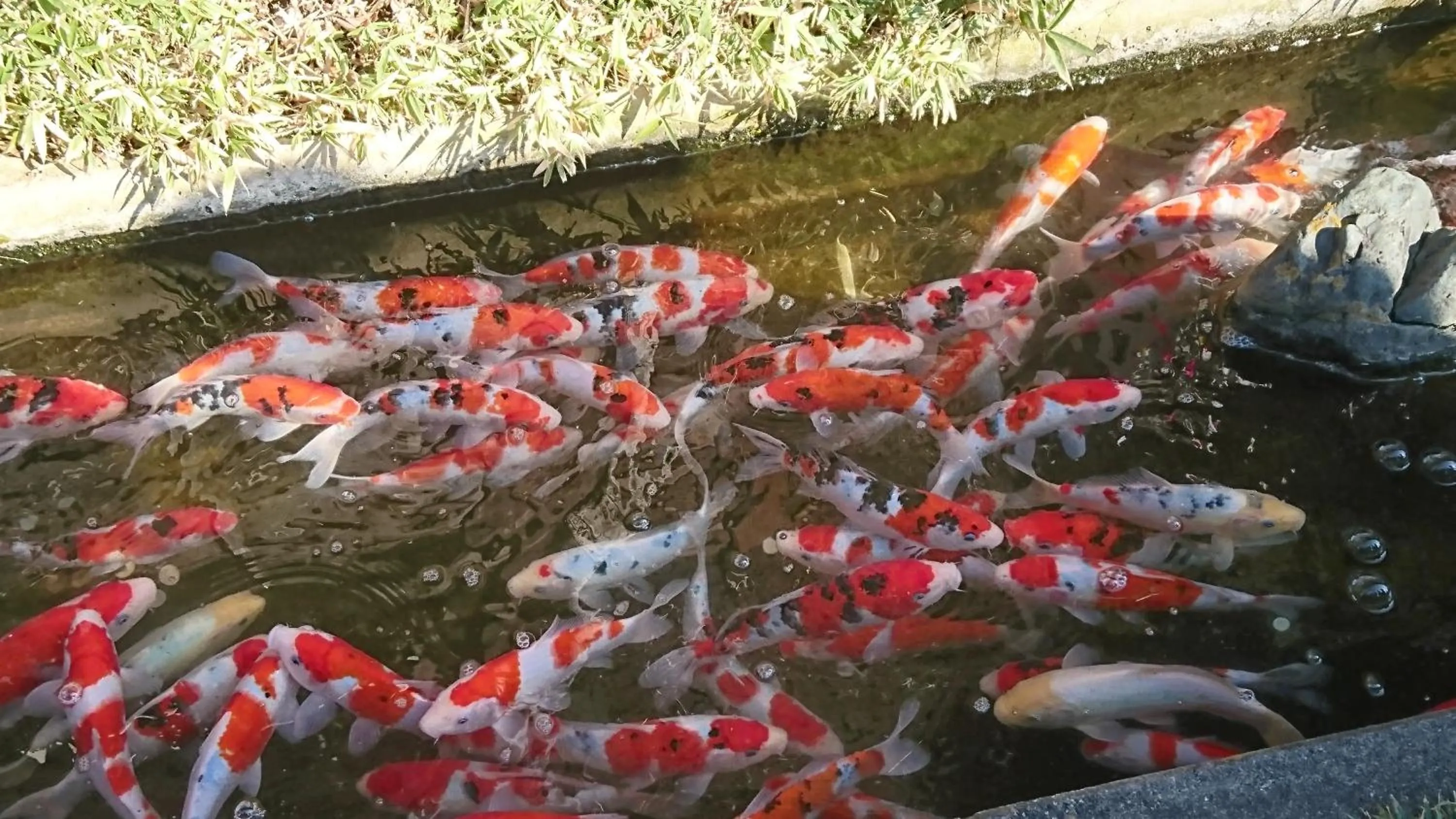Nearby landmark in Tsuki no Yado Kaguya