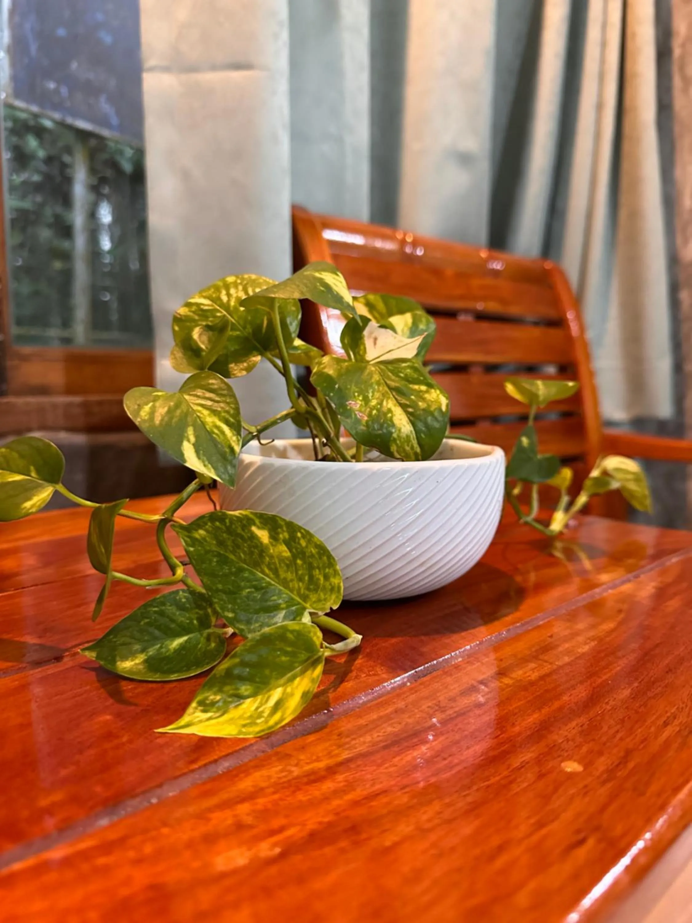 Photo of the whole room in Rinna Resort