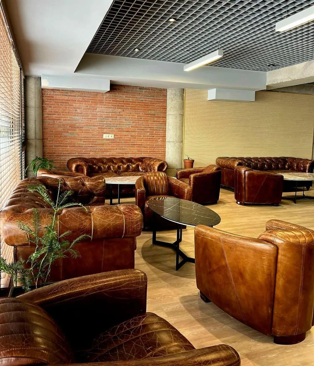 Lounge or bar in Gudauri Hills Apart Hotel