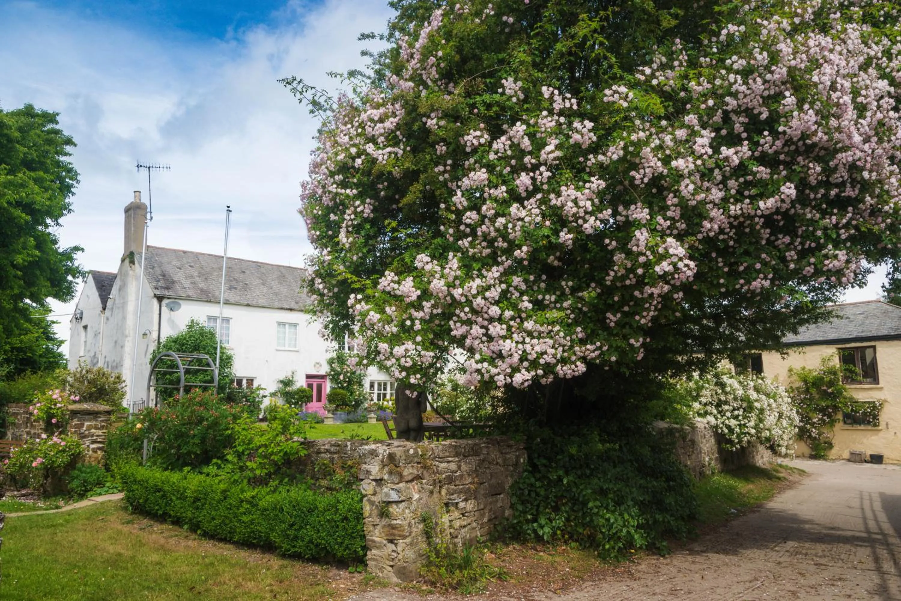 Property building in Hollamoor Farm