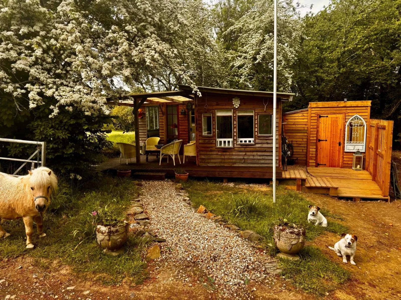 Property building in Hollamoor Farm