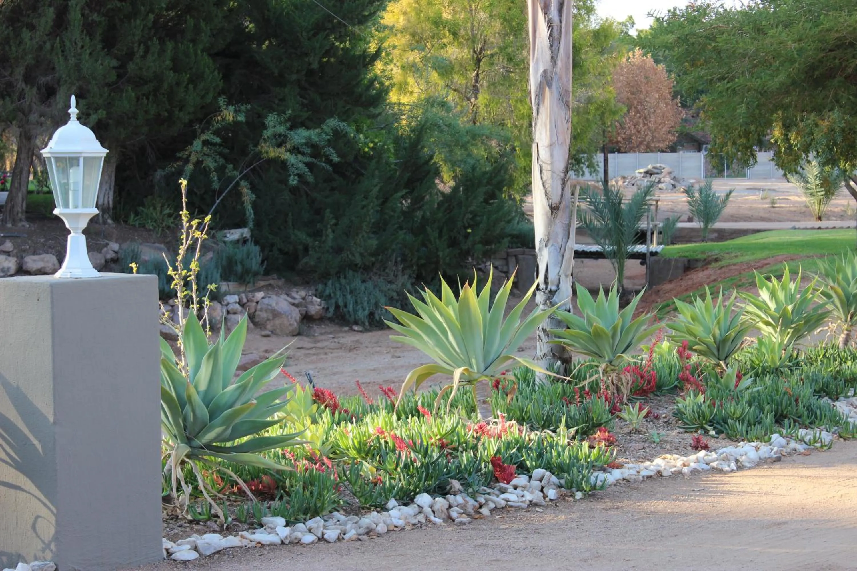 Garden in The Falls Guest House