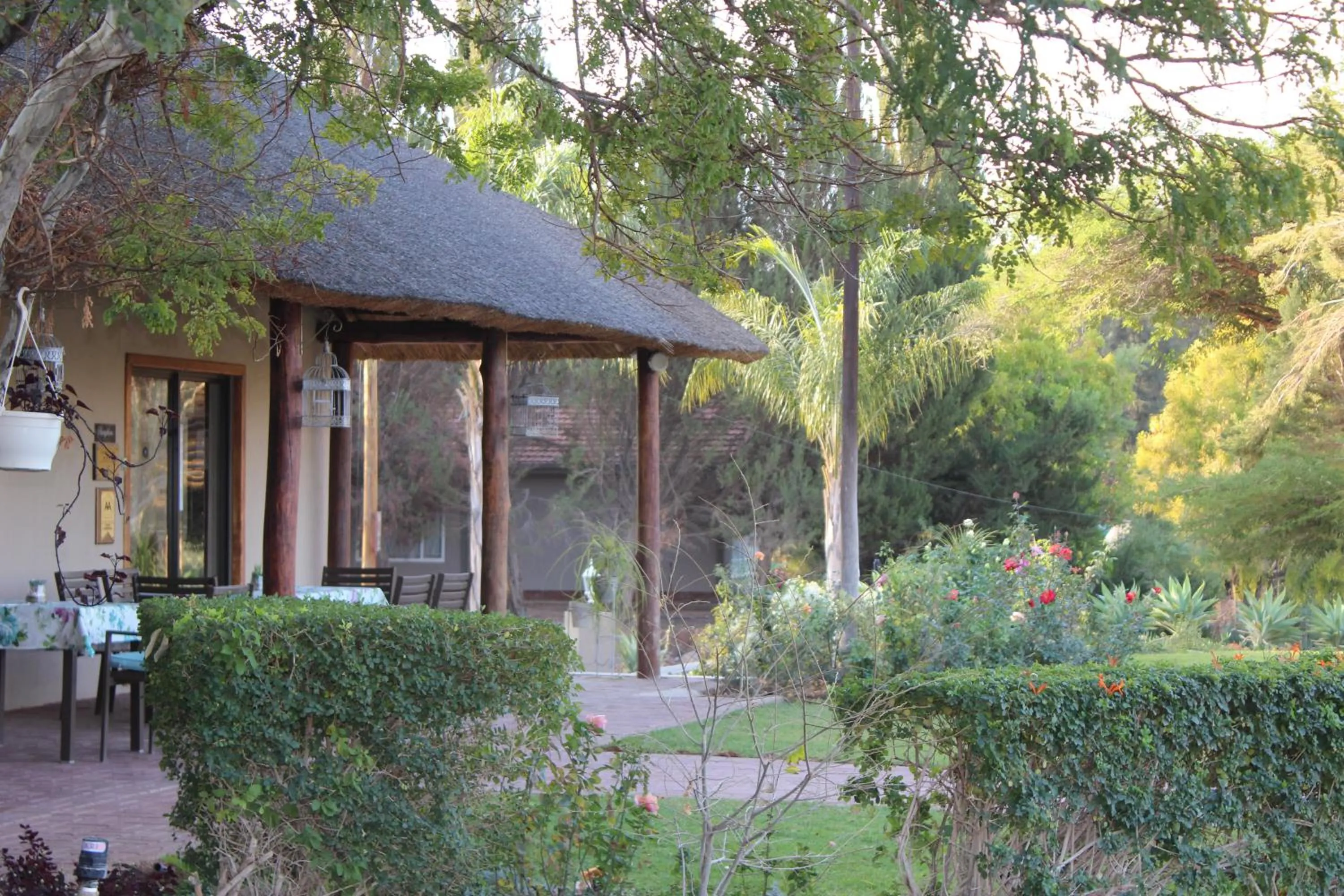 Garden in The Falls Guest House