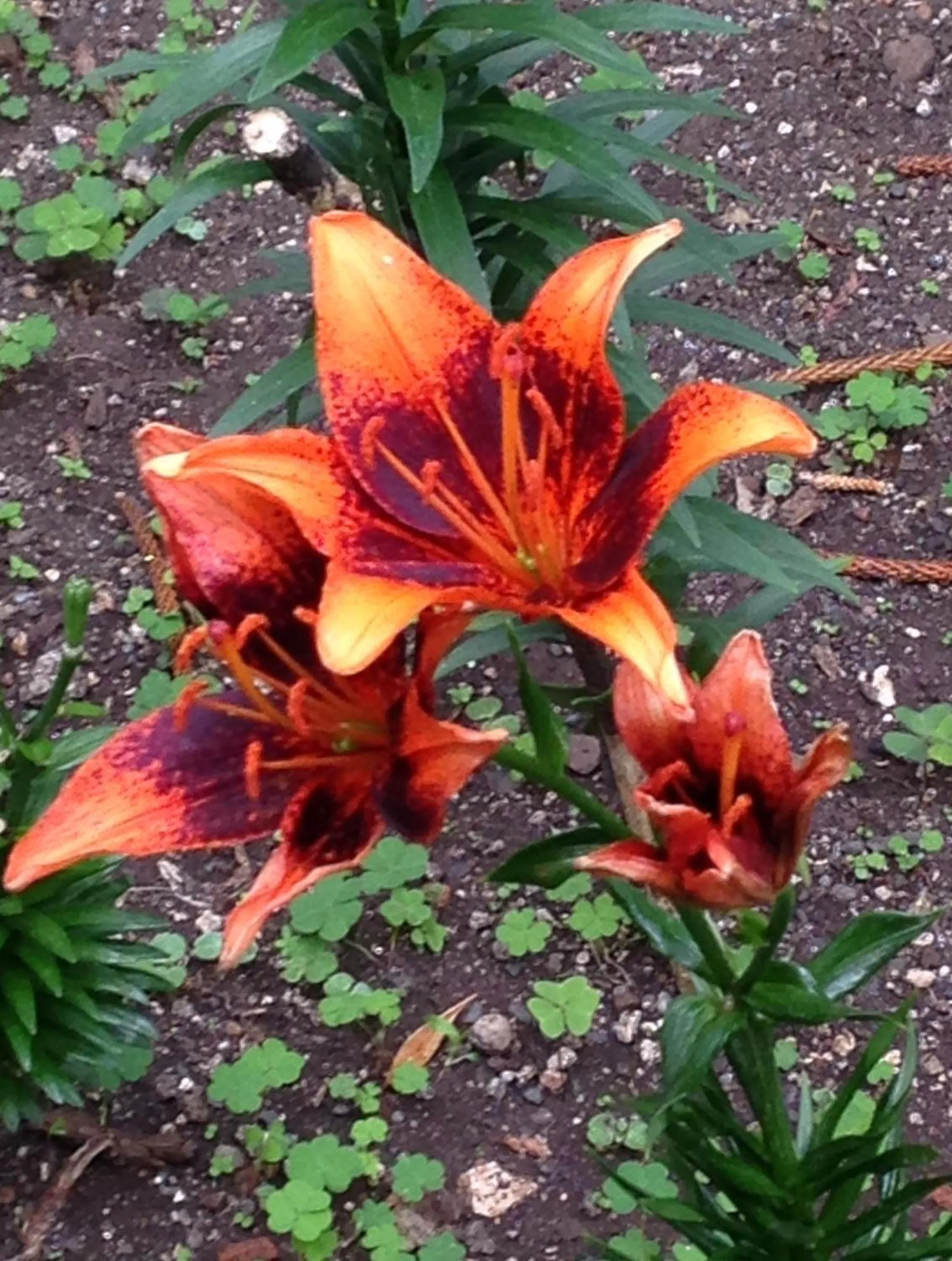 Other in Vitorina Corte Guesthouse