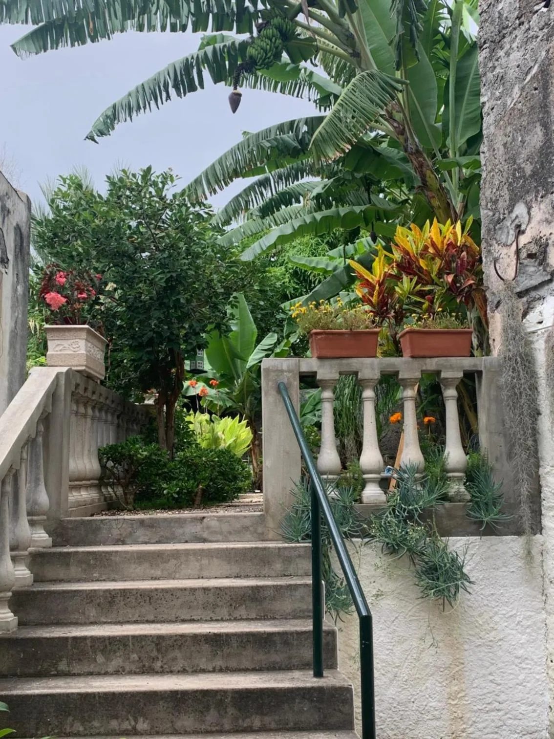 Garden in Vitorina Corte Guesthouse