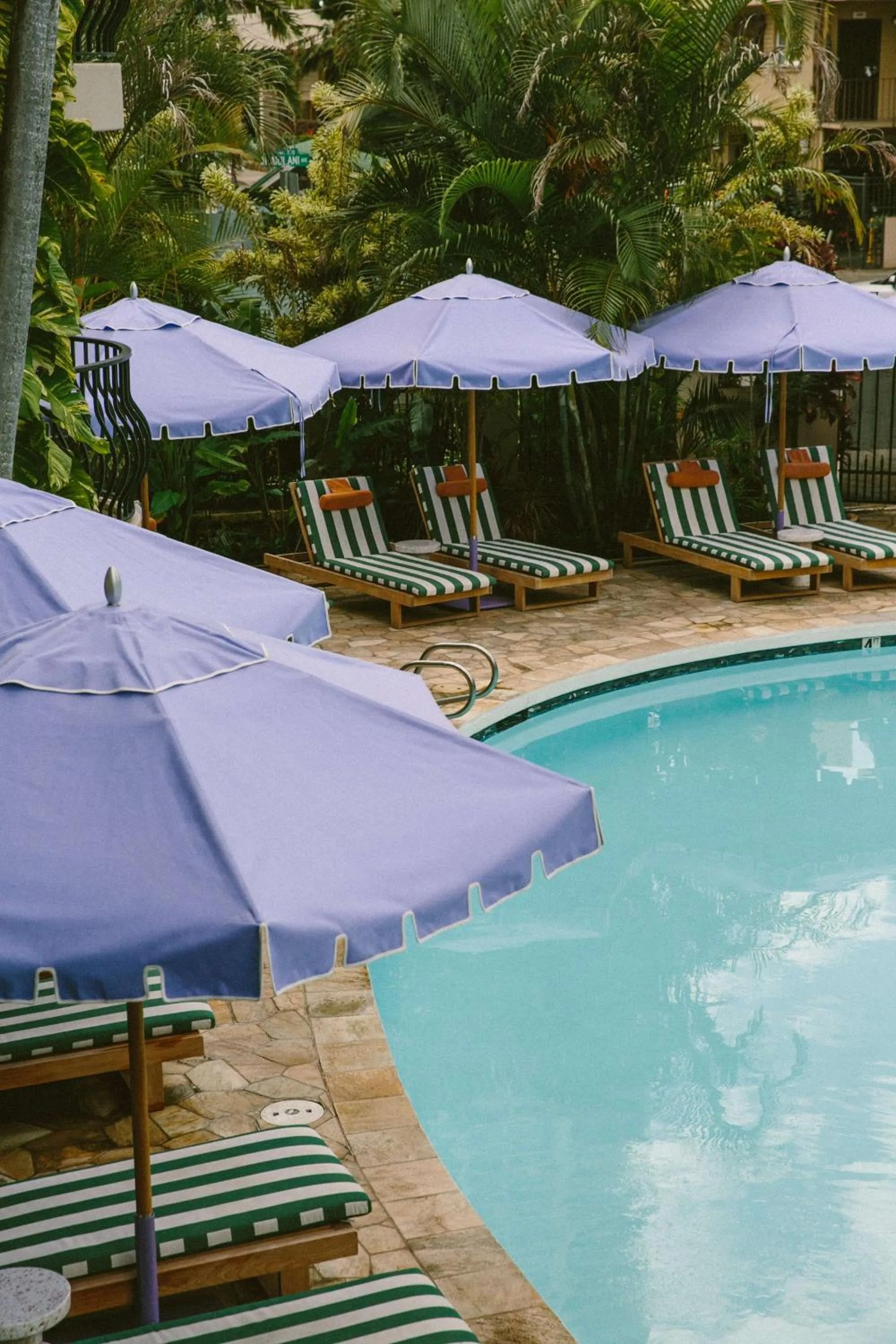 Pool view in Wayfinder Waikiki - Voted Top 10 Best Hotels in Hawaii!