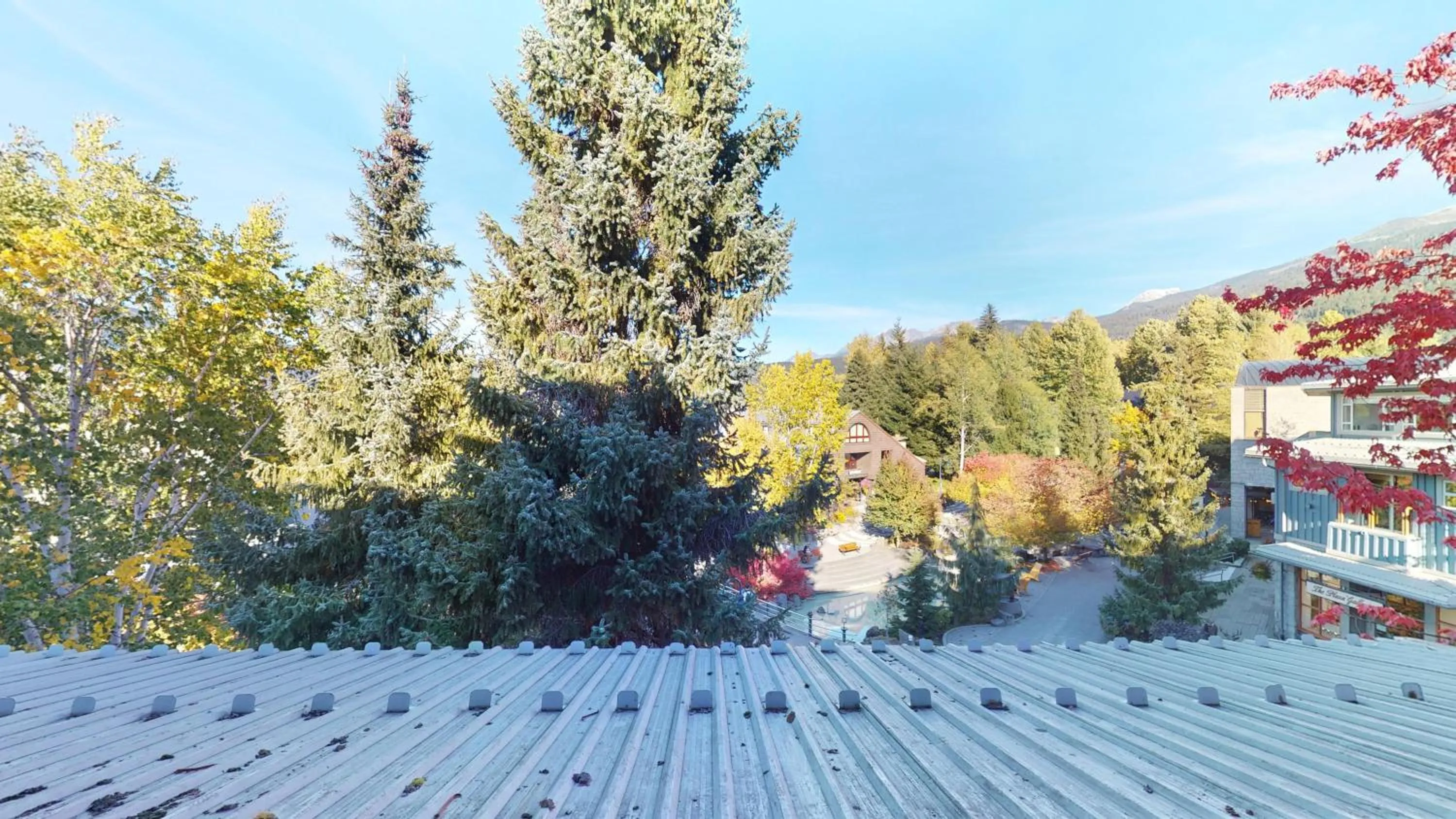 Whistler Blackcomb Vacation Rentals - Village North