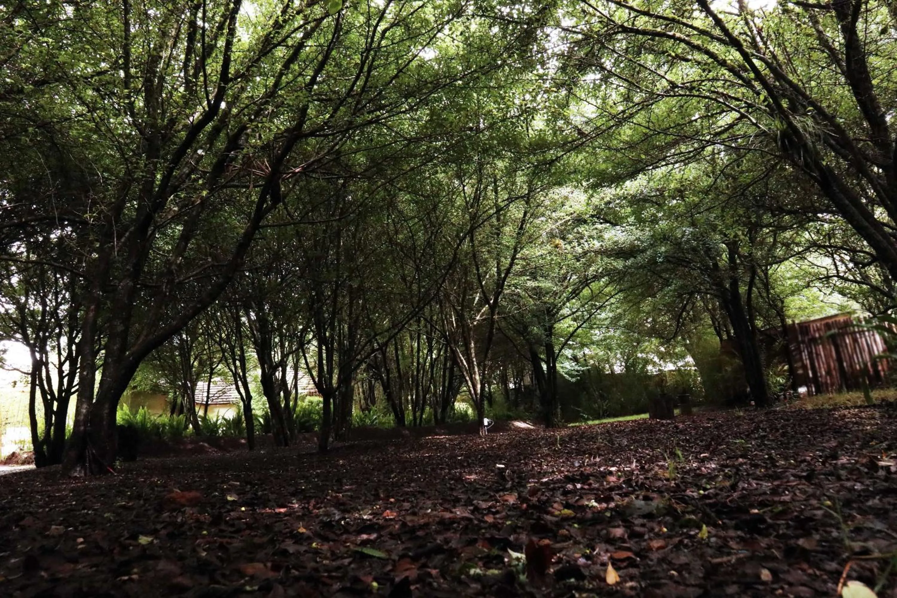 Hotel Bosques del Sol Suites