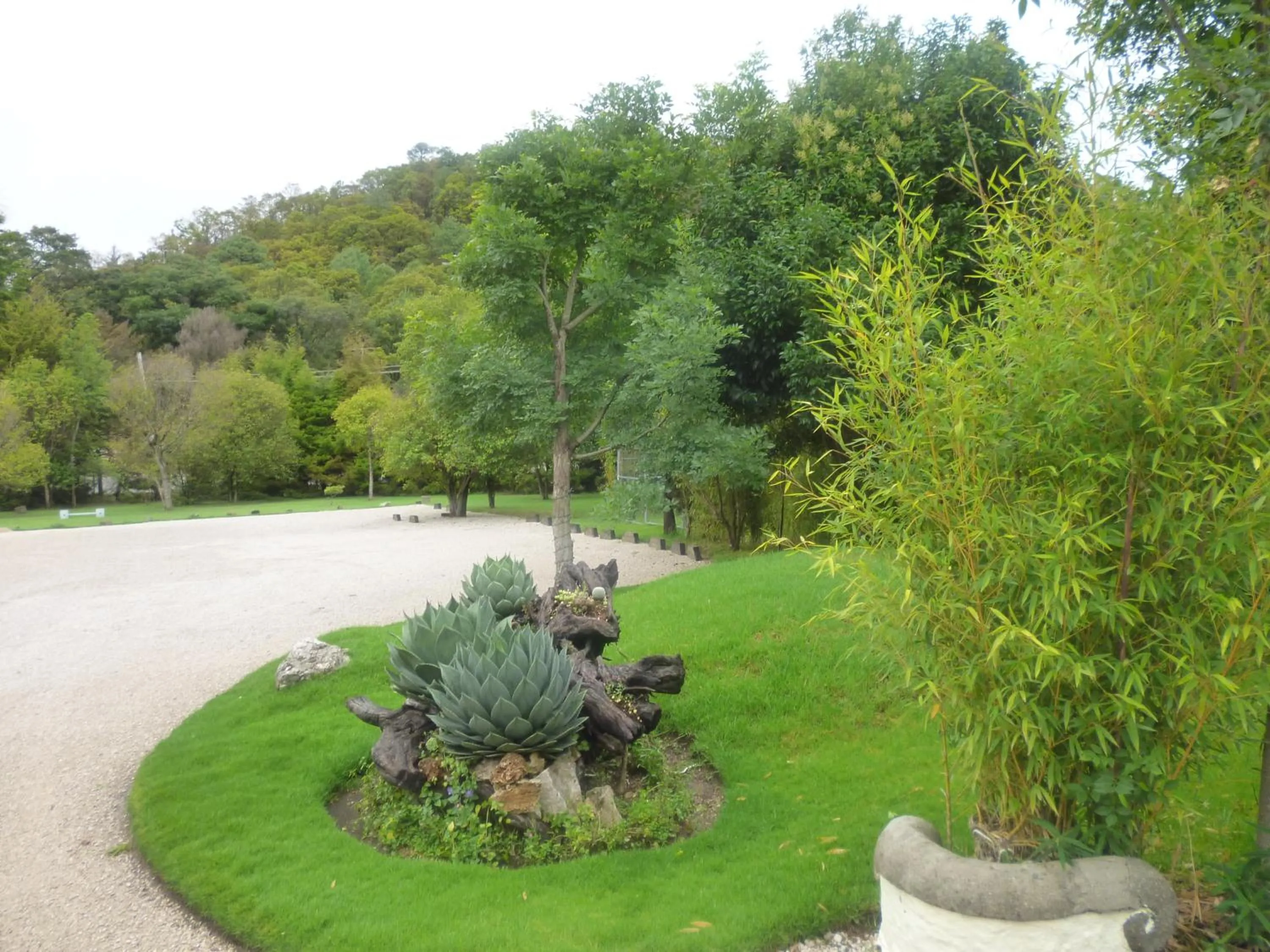 Hotel Bosques del Sol Suites