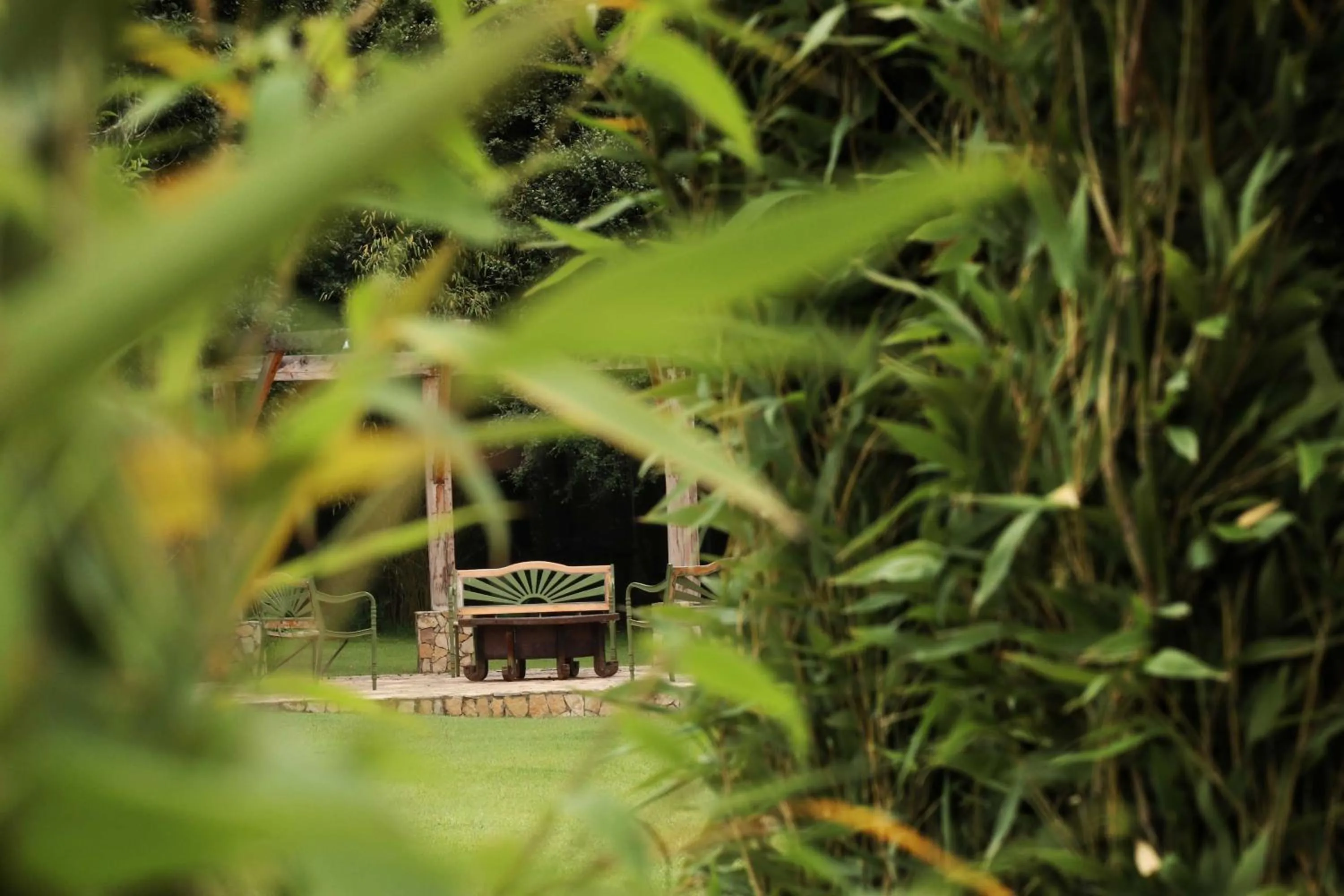 Hotel Bosques del Sol Suites