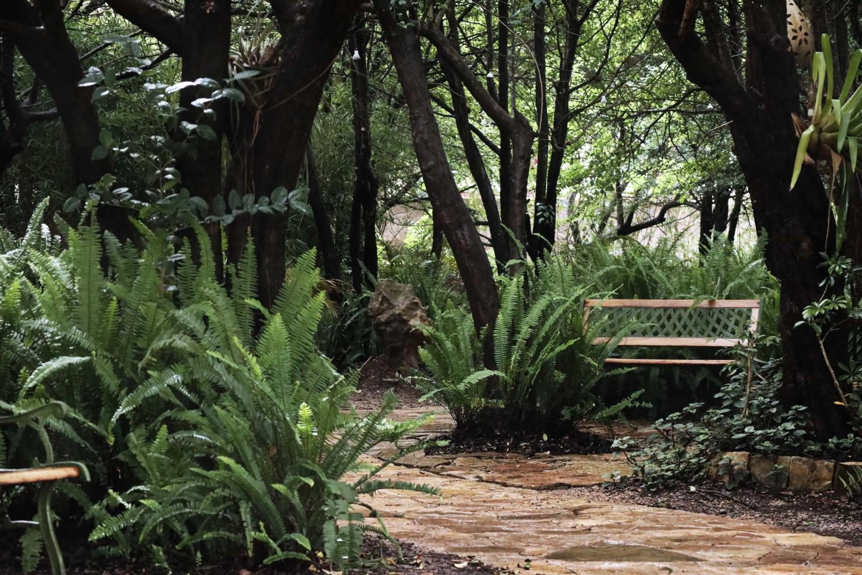 Hotel Bosques del Sol Suites