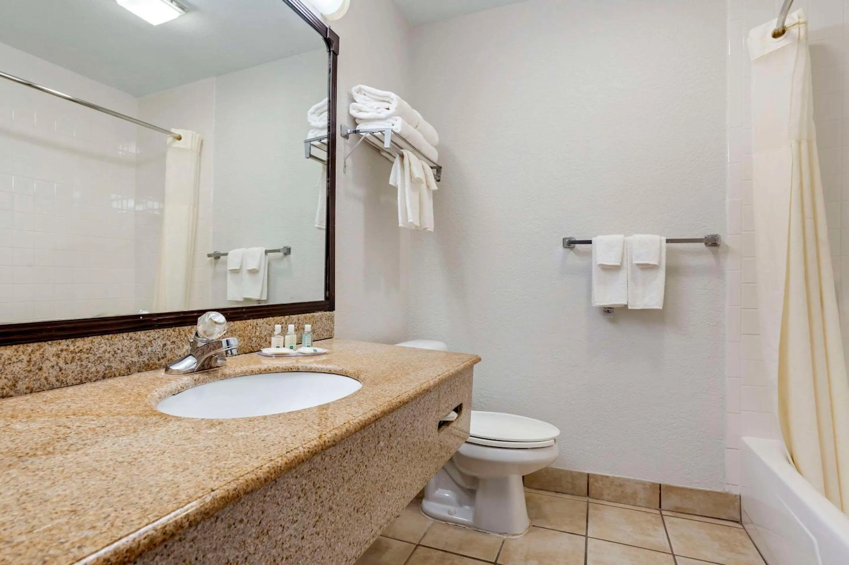 Bedroom in Quality Inn & Suites NRG Park - Medical Center