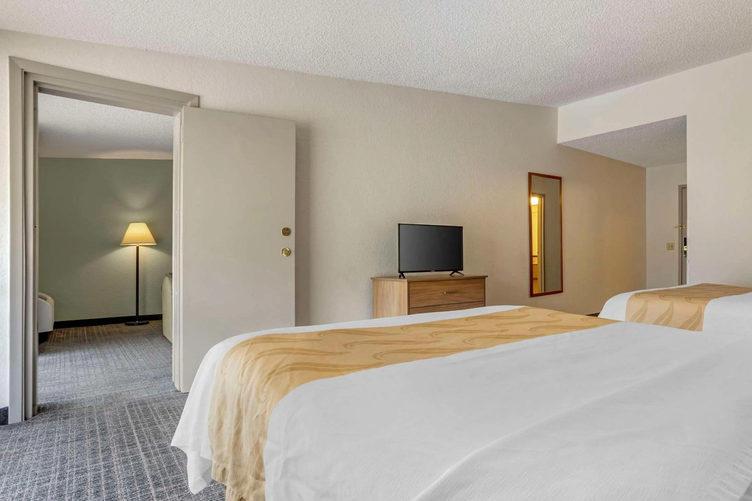 Bedroom, Bed in Quality Inn & Suites NRG Park - Medical Center
