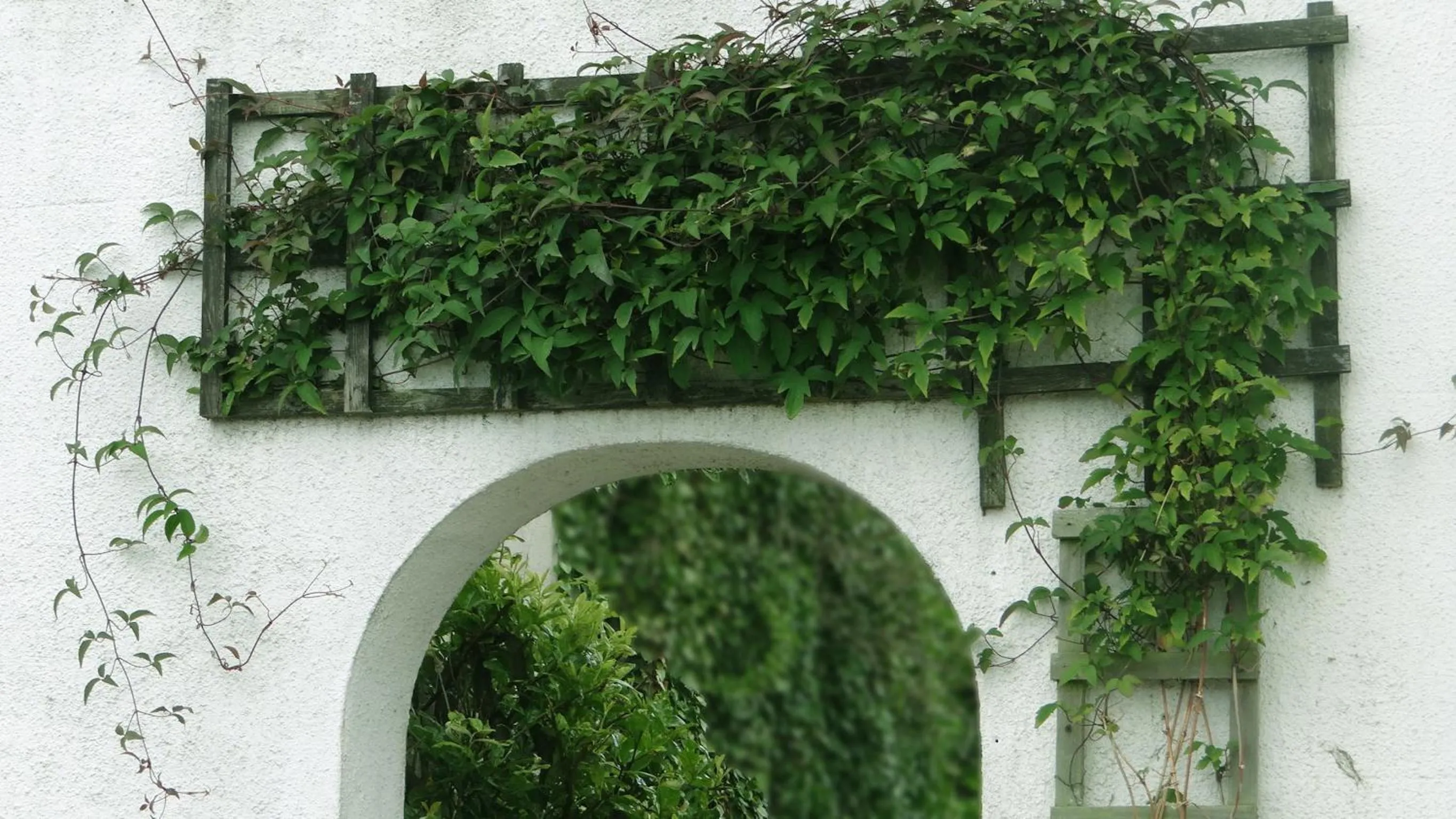 Day in Jessamine House Hotel