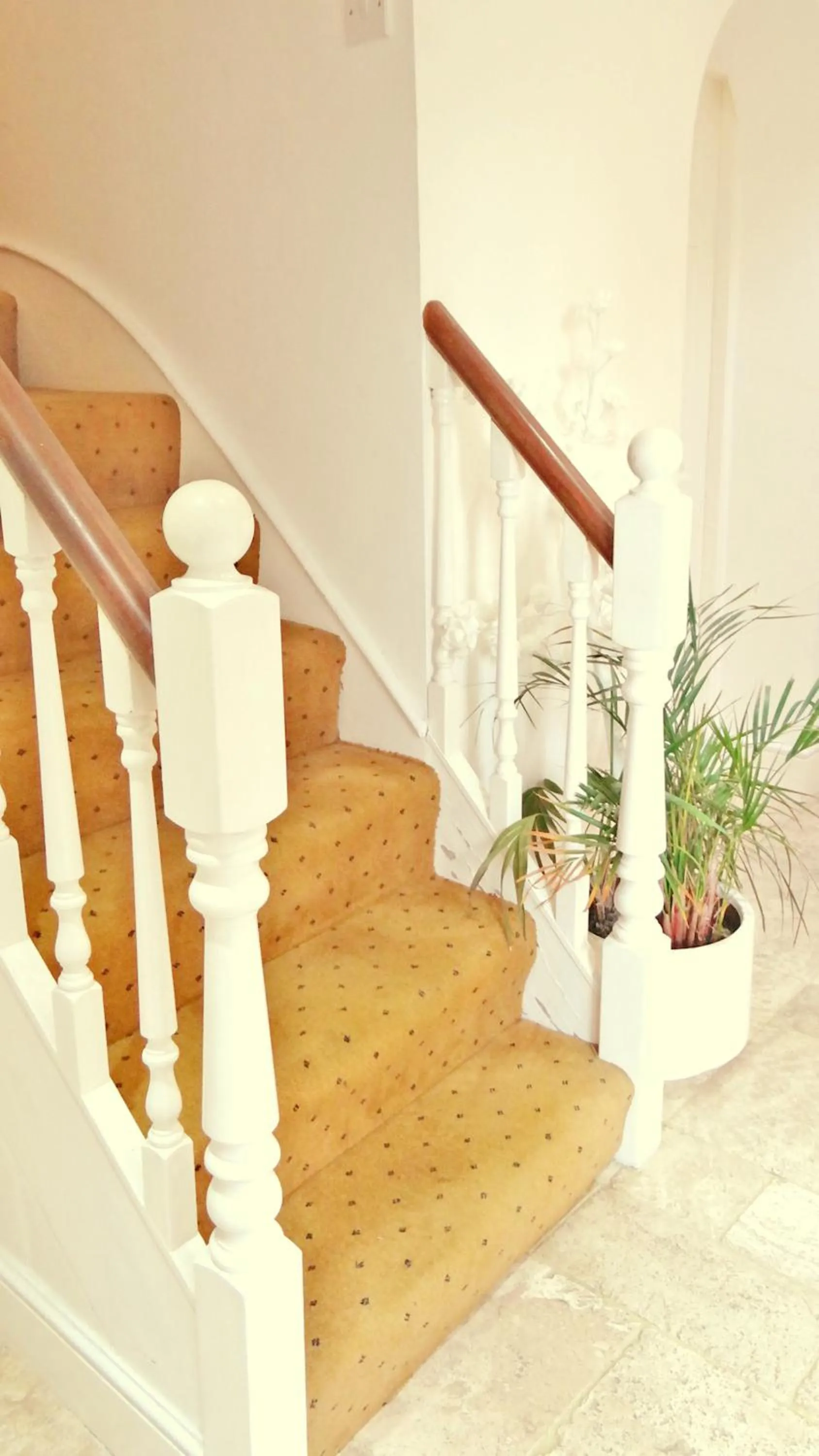 Lobby or reception in Jessamine House Hotel