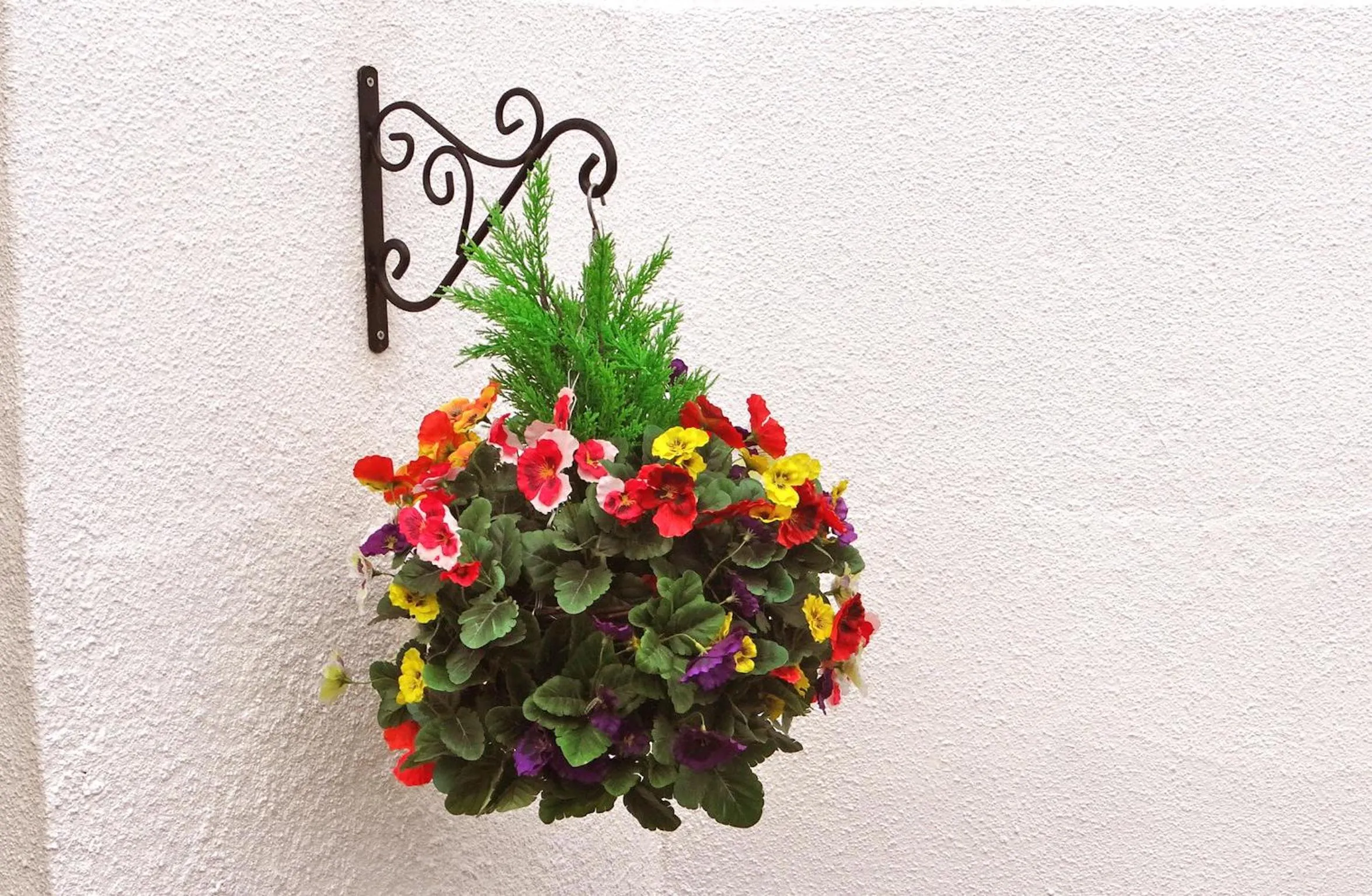 Day in Jessamine House Hotel