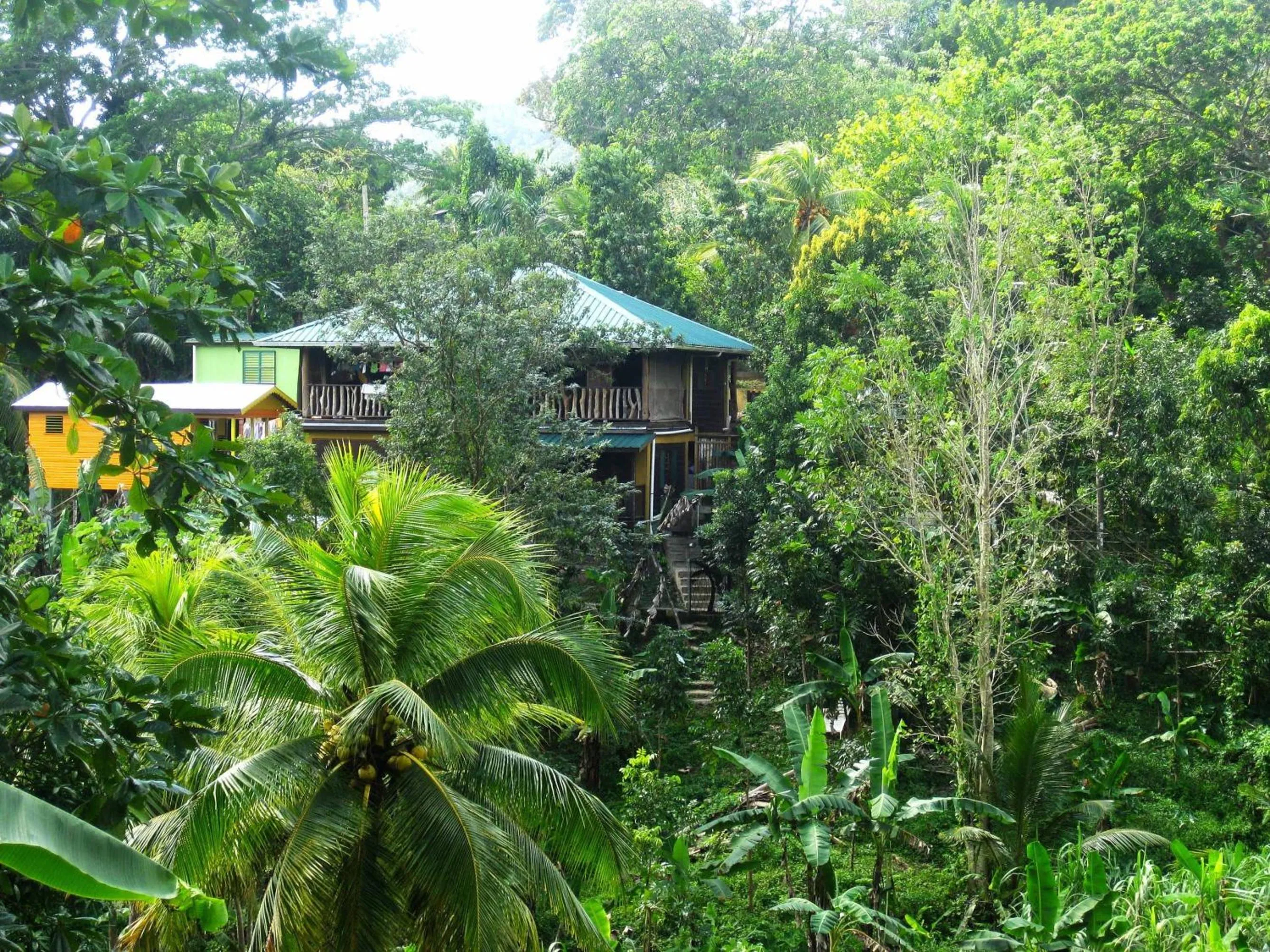 Bird's eye view in Zimbali Culinary Retreats