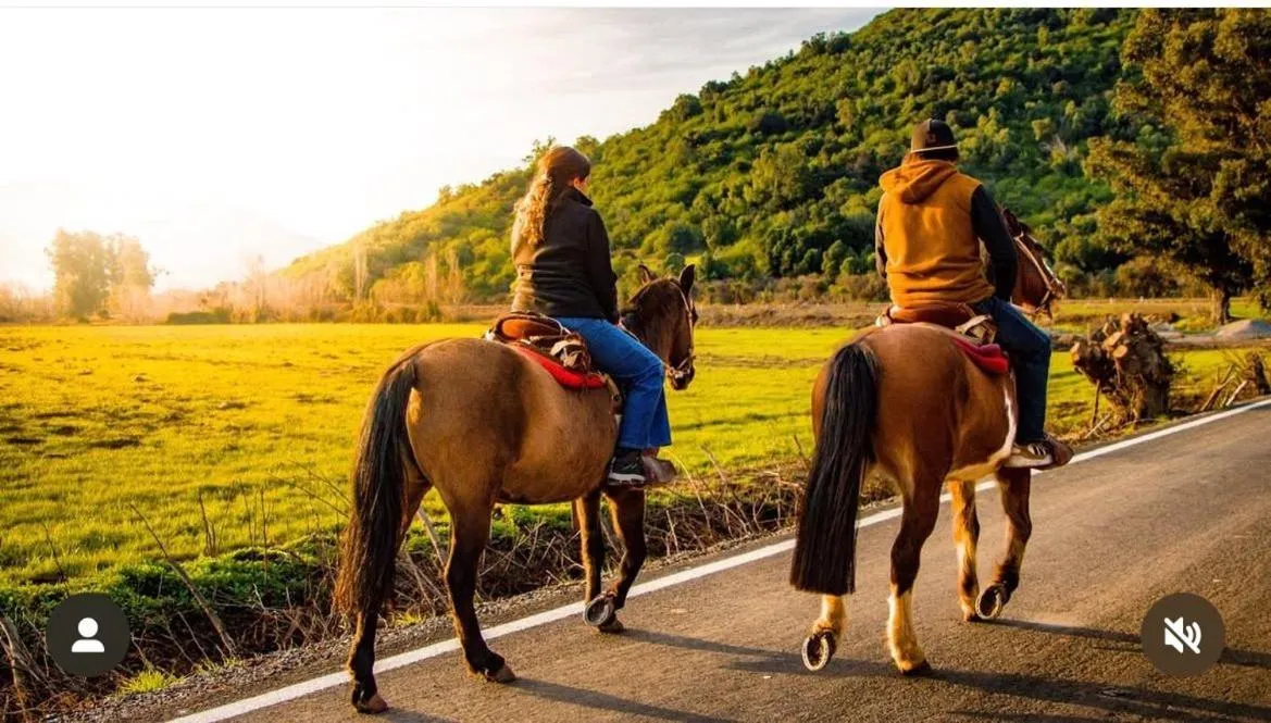 Hotel Boutique Raíces de Colchagua