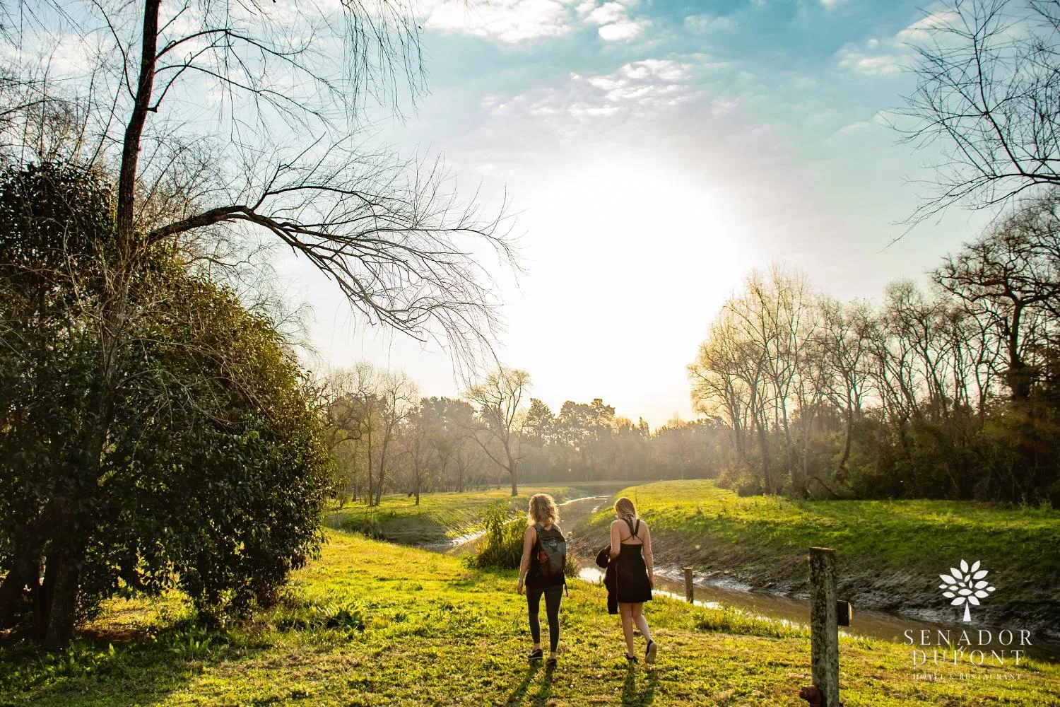 Senador Dupont- Convento San Francisco & Arboles