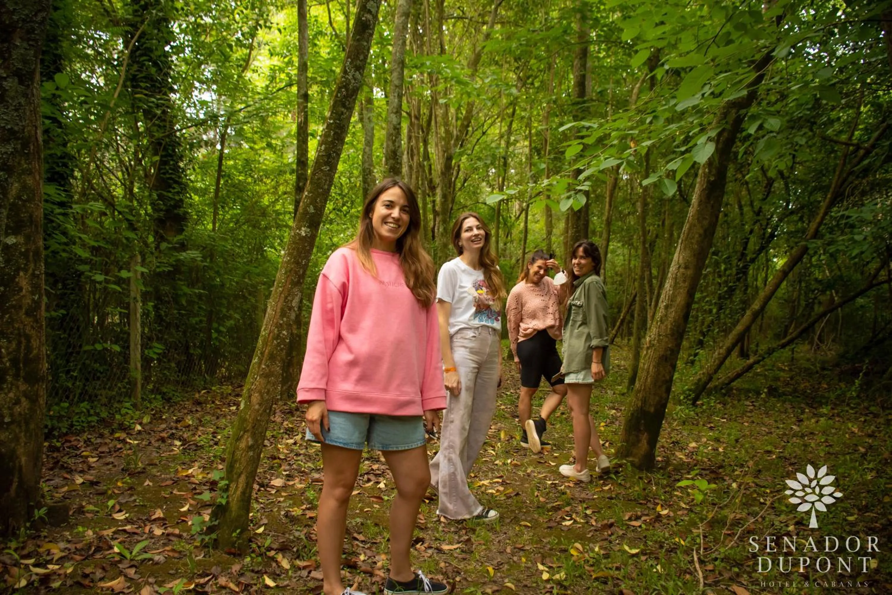 Senador Dupont- Convento San Francisco & Arboles