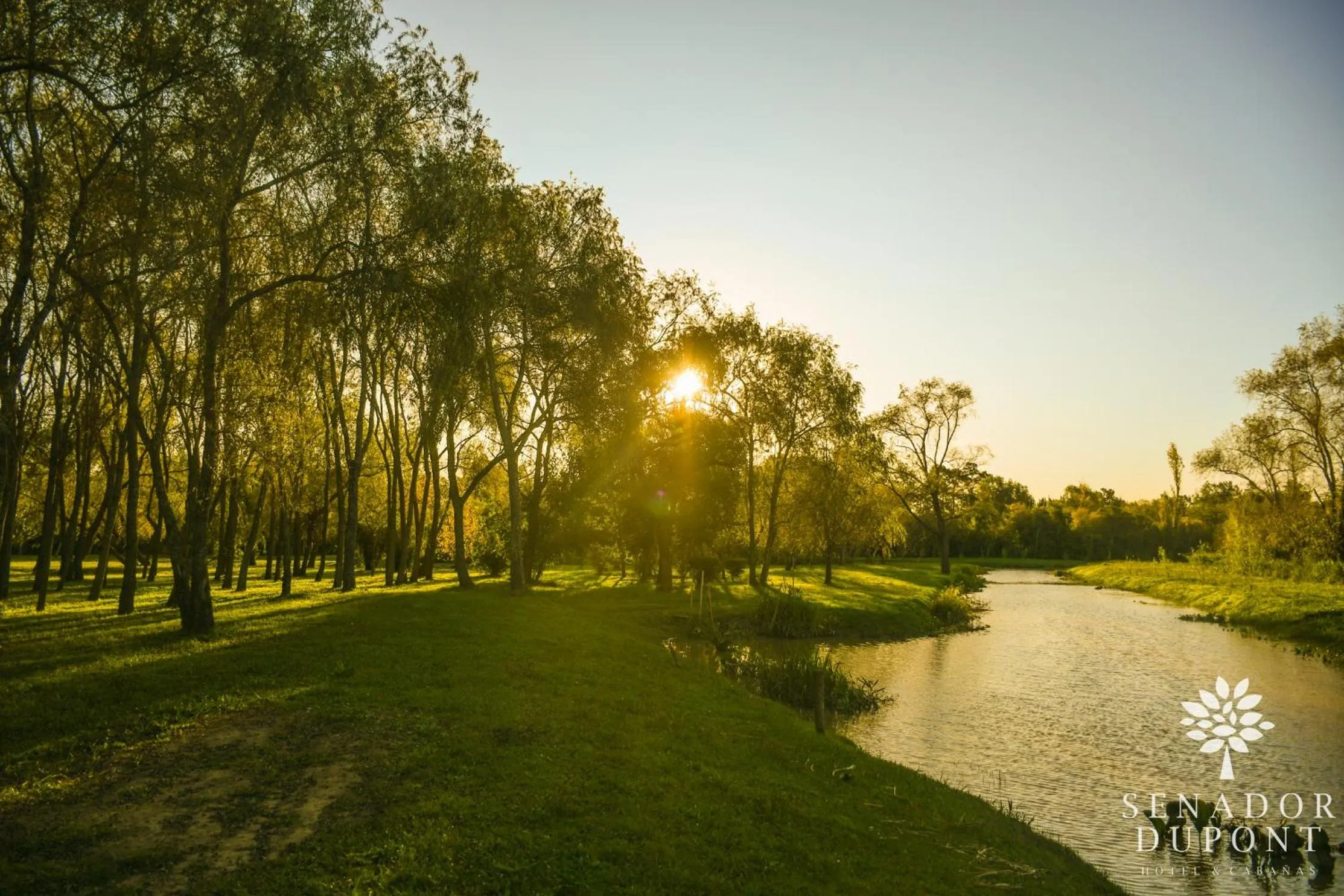 Senador Dupont- Convento San Francisco & Arboles