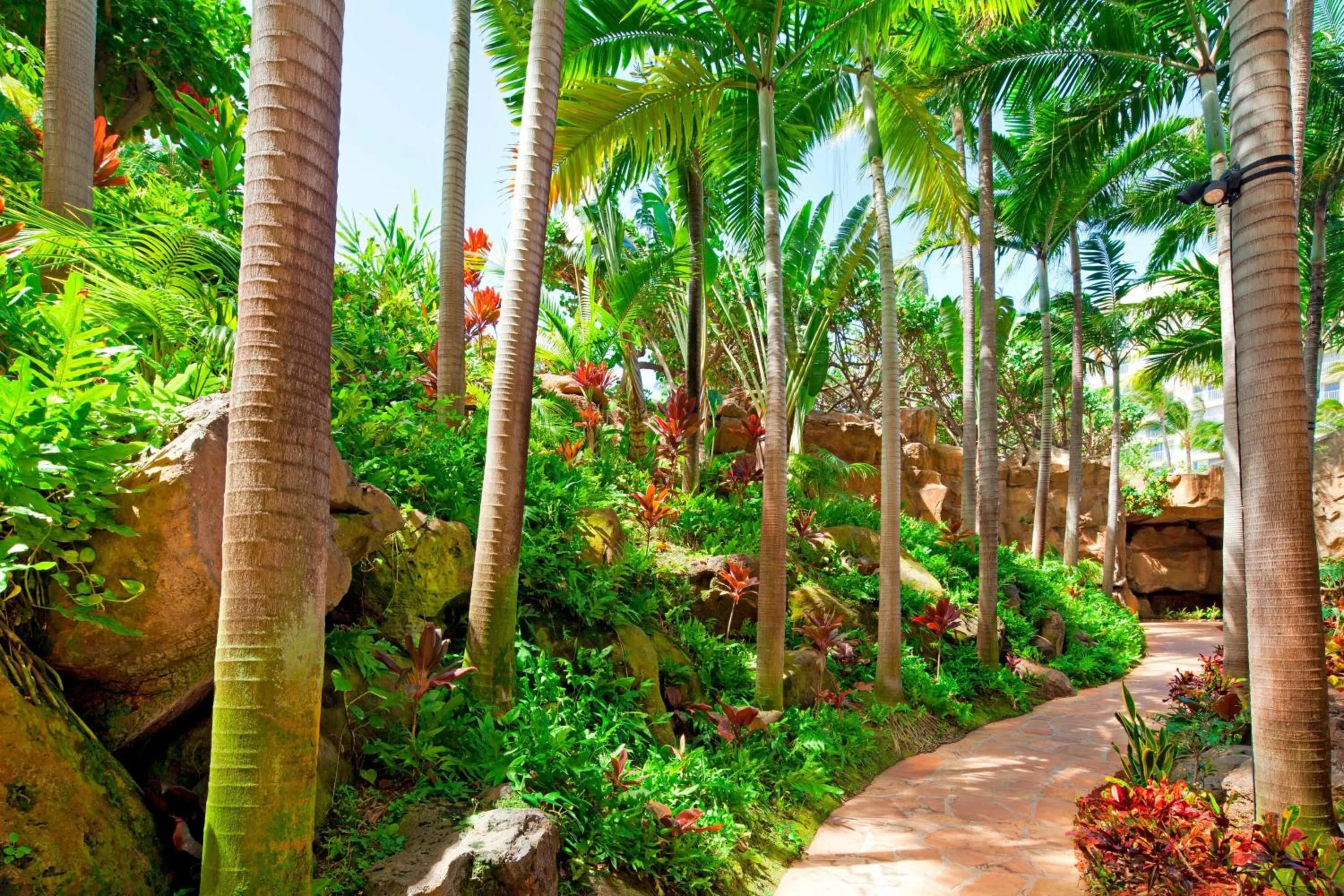 Other in The Westin Maui Resort & Spa, Ka'anapali