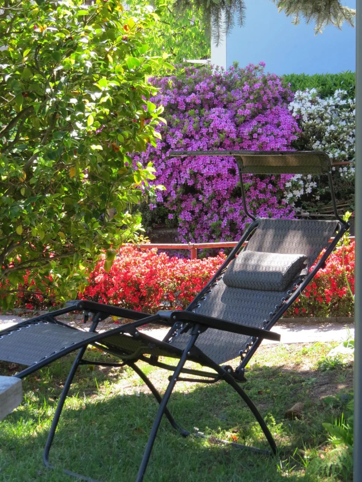 Garden in CASA AZZURRA Domodossola FREE PARKING