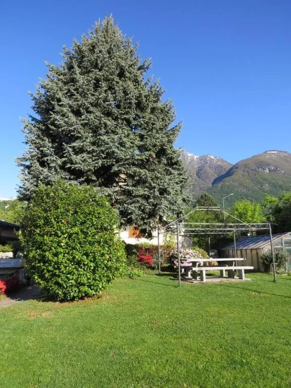 Garden in CASA AZZURRA Domodossola FREE PARKING