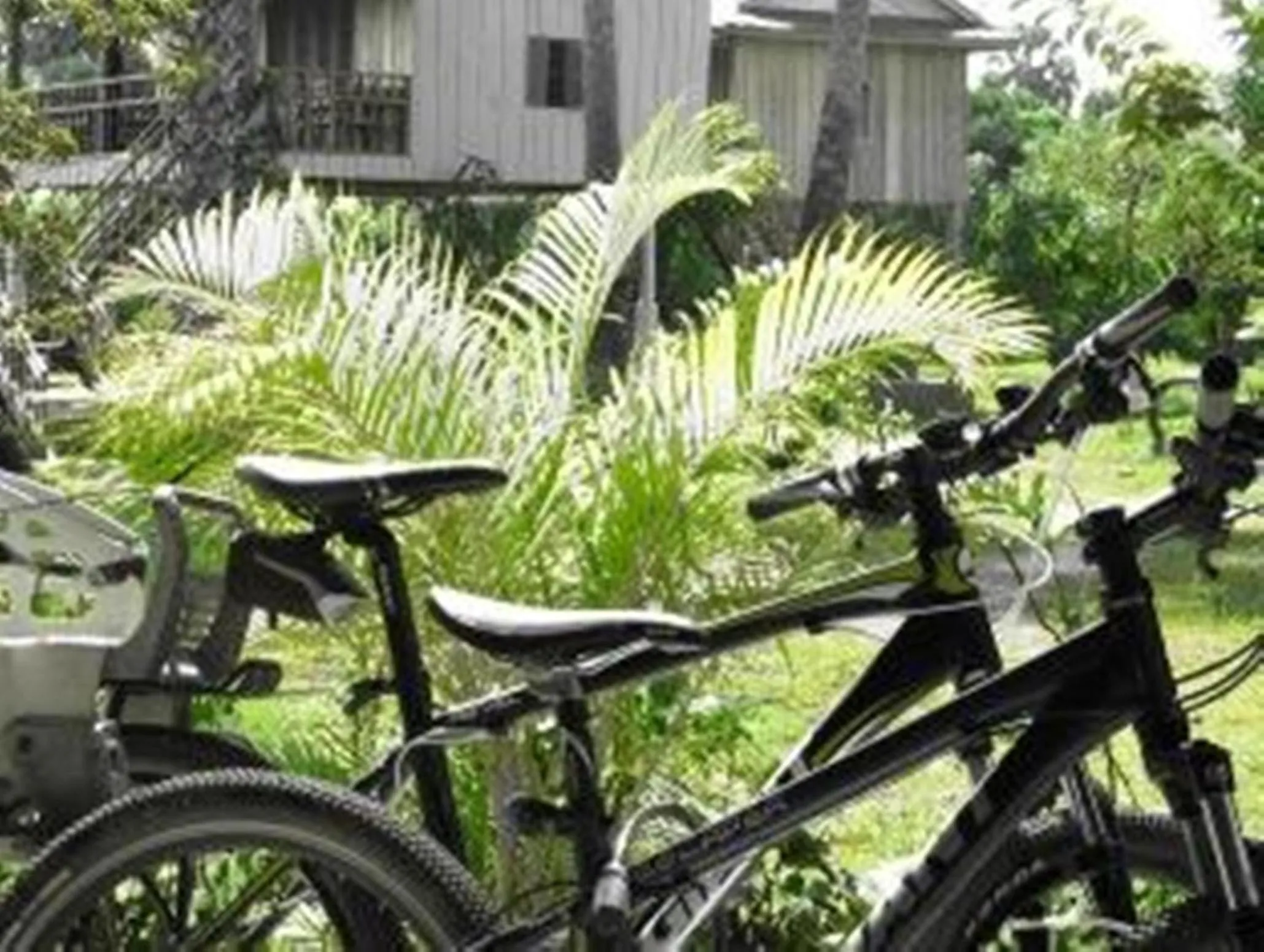 Cycling in Champa Lodge