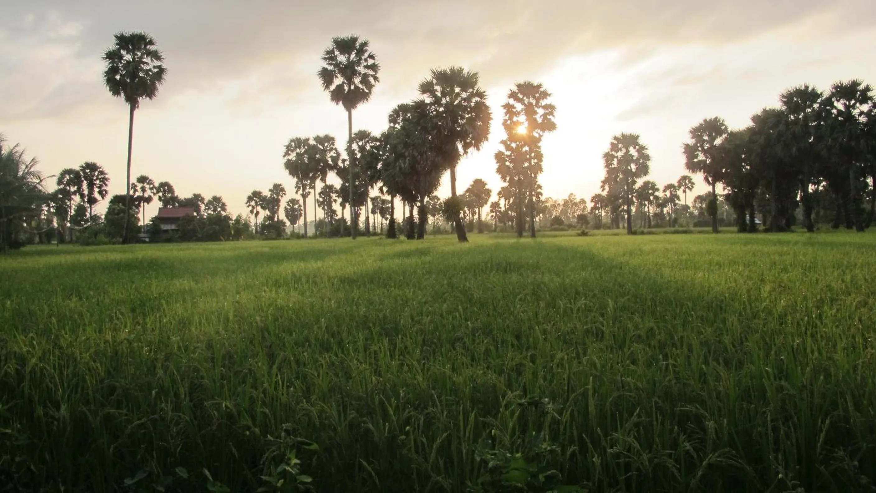 Sunrise in Champa Lodge