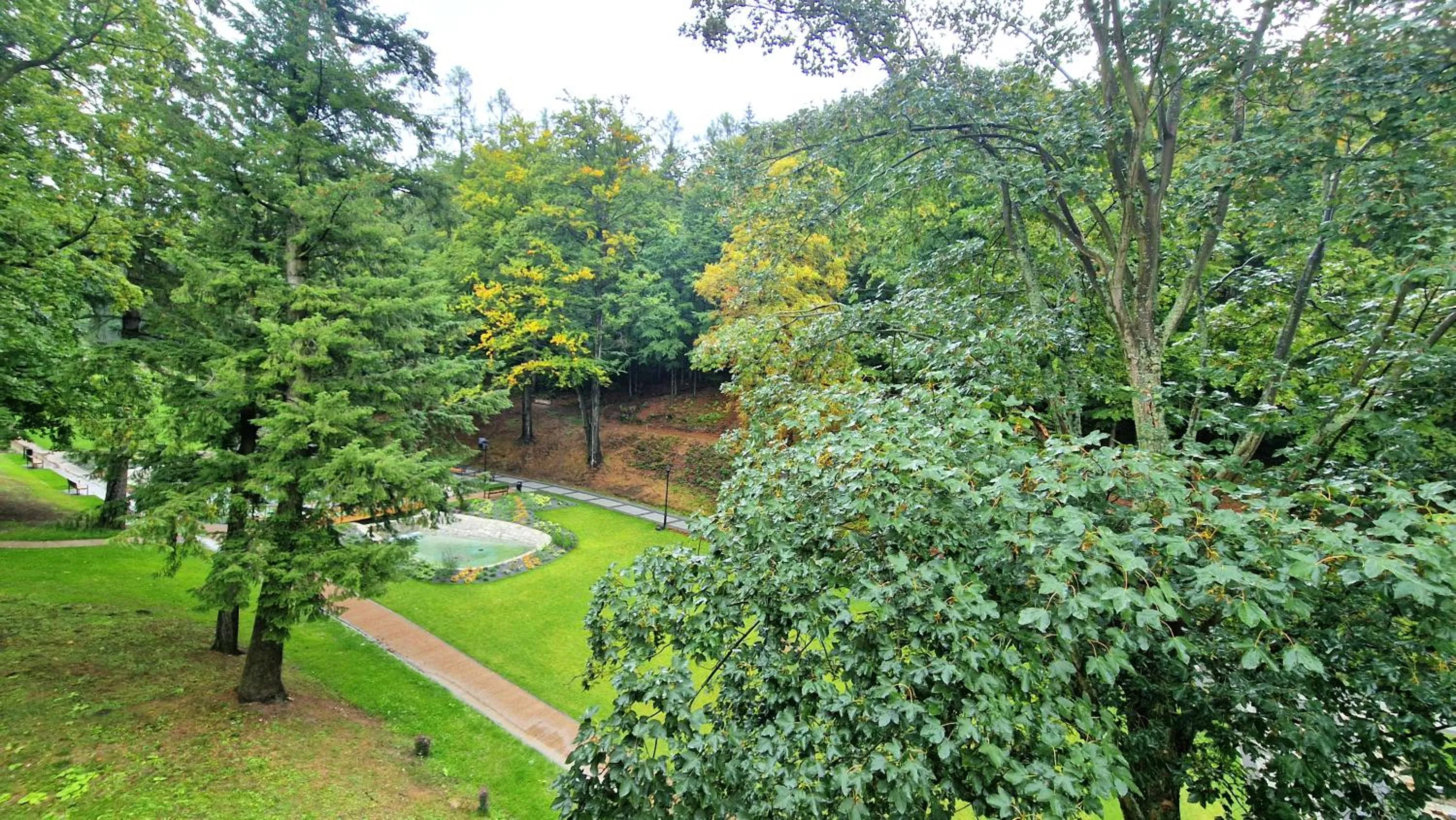 Natural landscape in Petite Charlotta