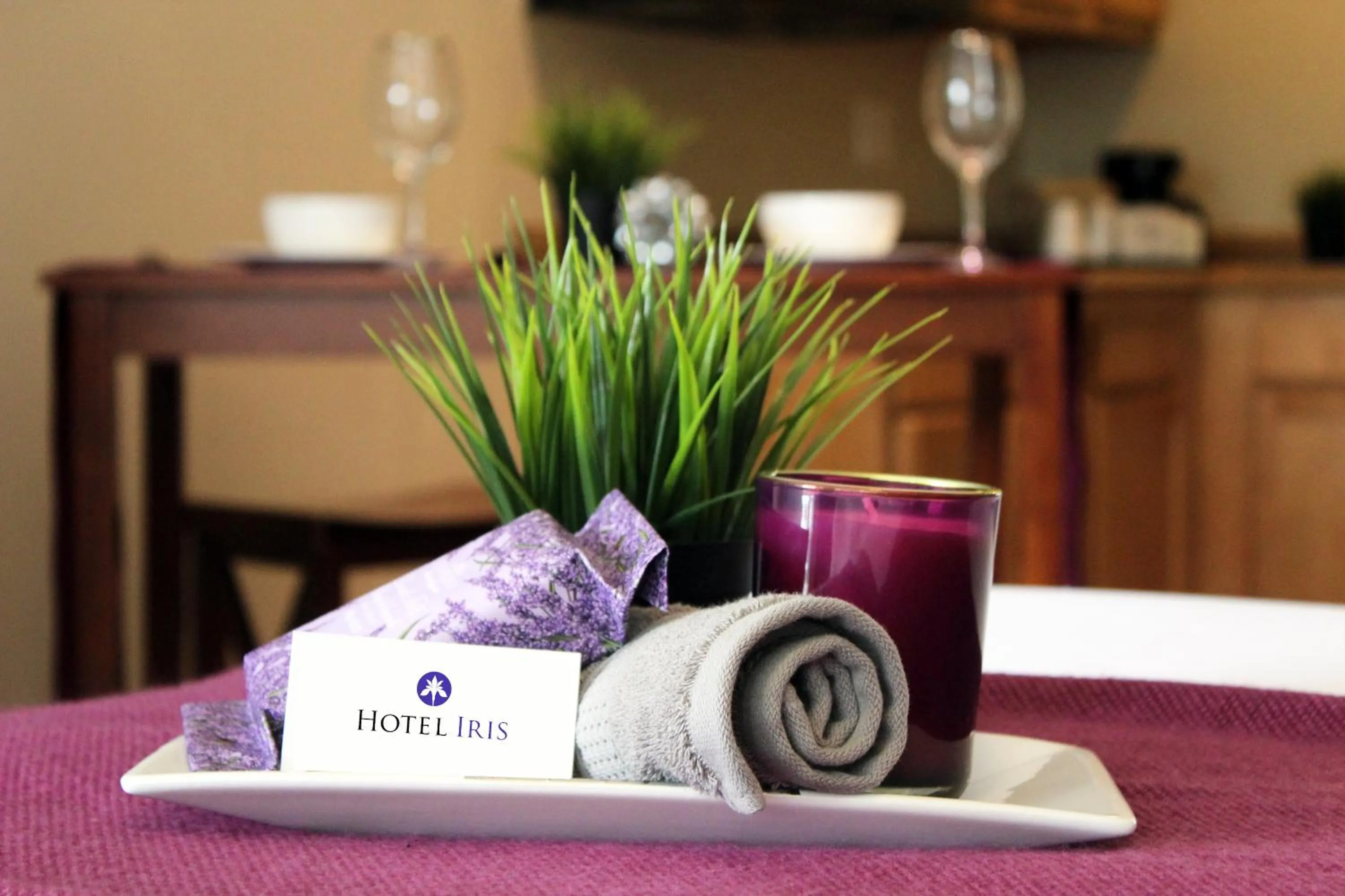 Decorative detail in Hotel Iris - Mission Valley-San Diego Zoo-SeaWorld