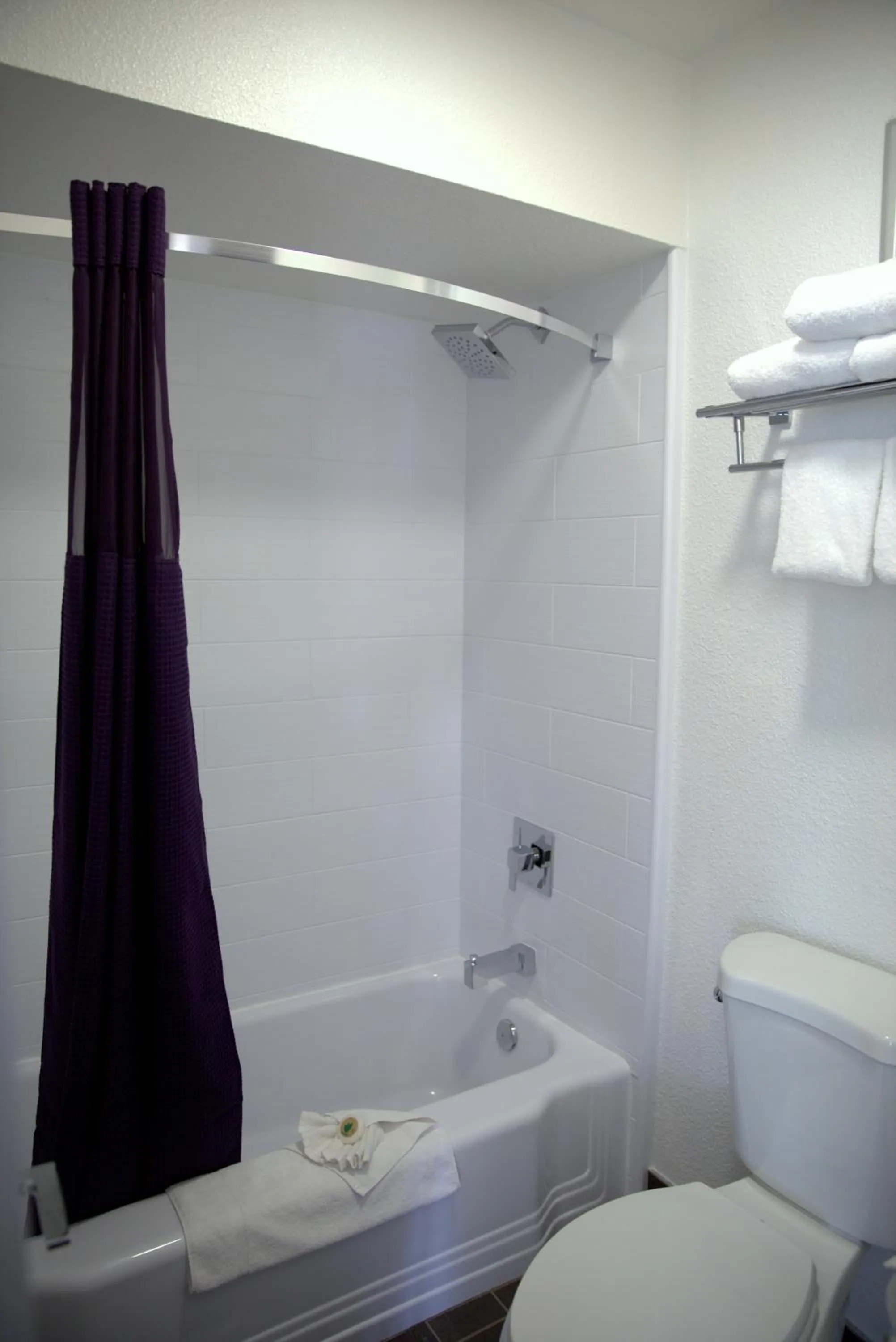 Shower in Hotel Iris - Mission Valley-San Diego Zoo-SeaWorld