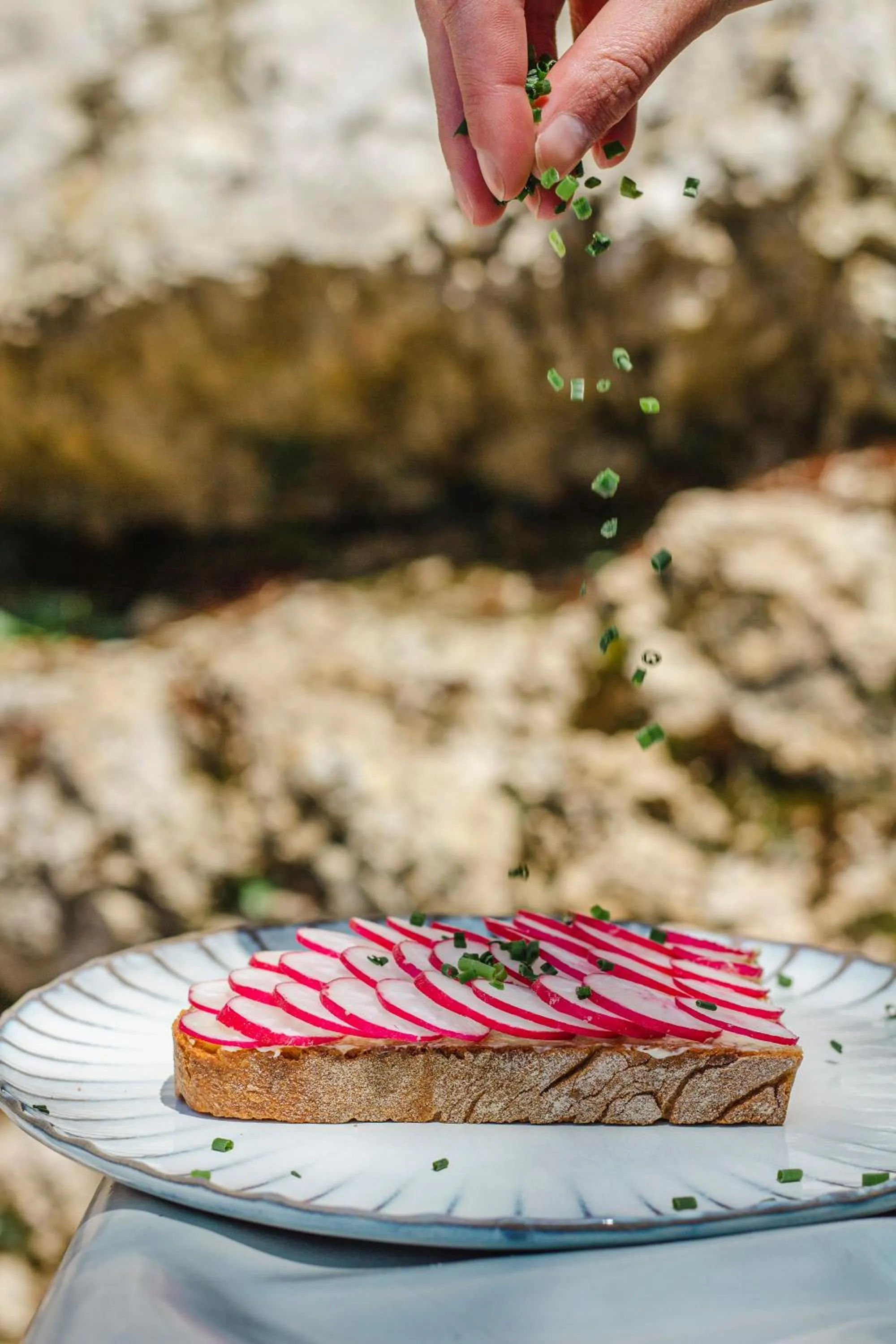 Restaurant/places to eat in Kai 36 - Hotel zwischen Fels und Fluss