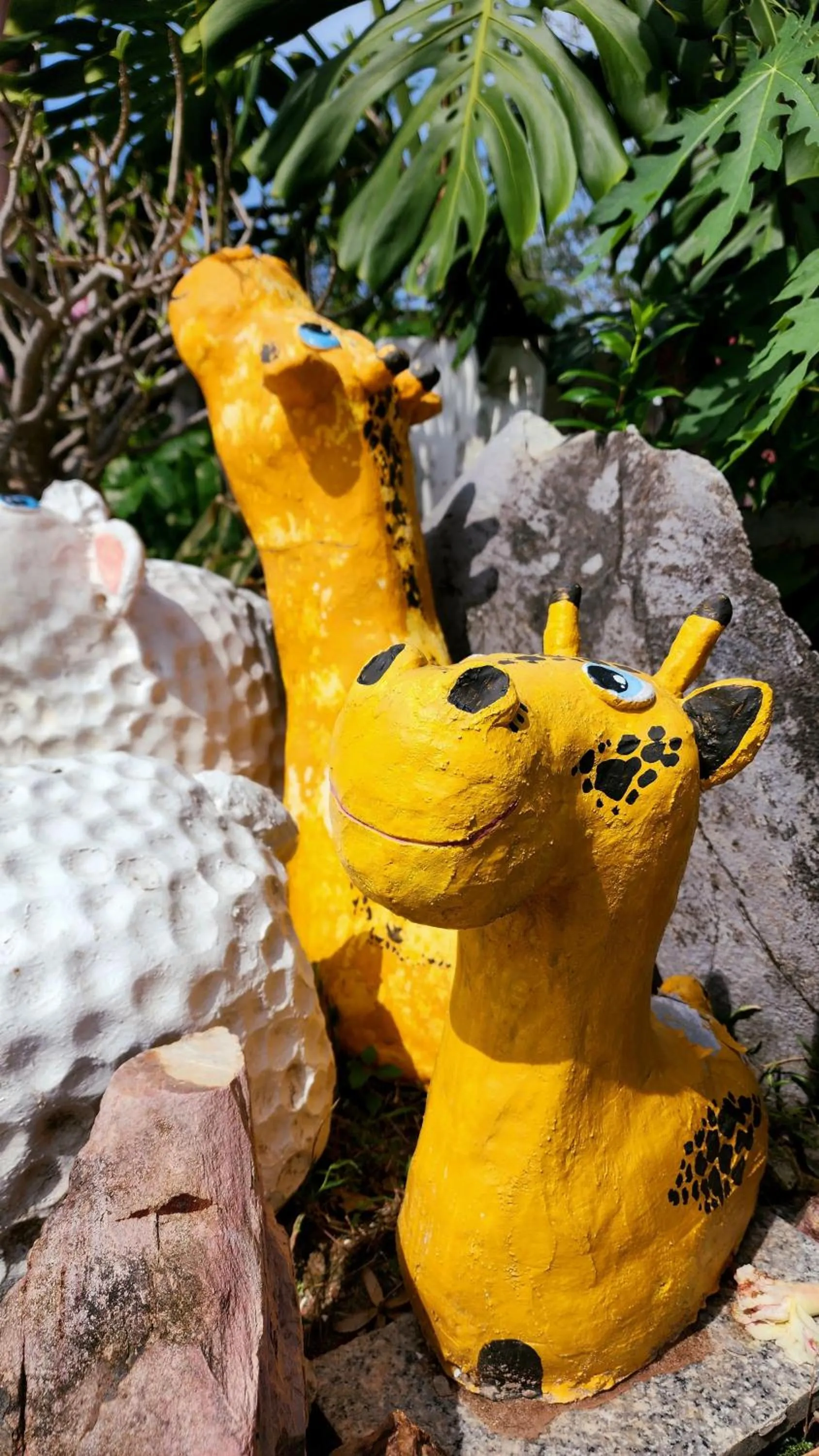 Day in Ingpha Room For Rent