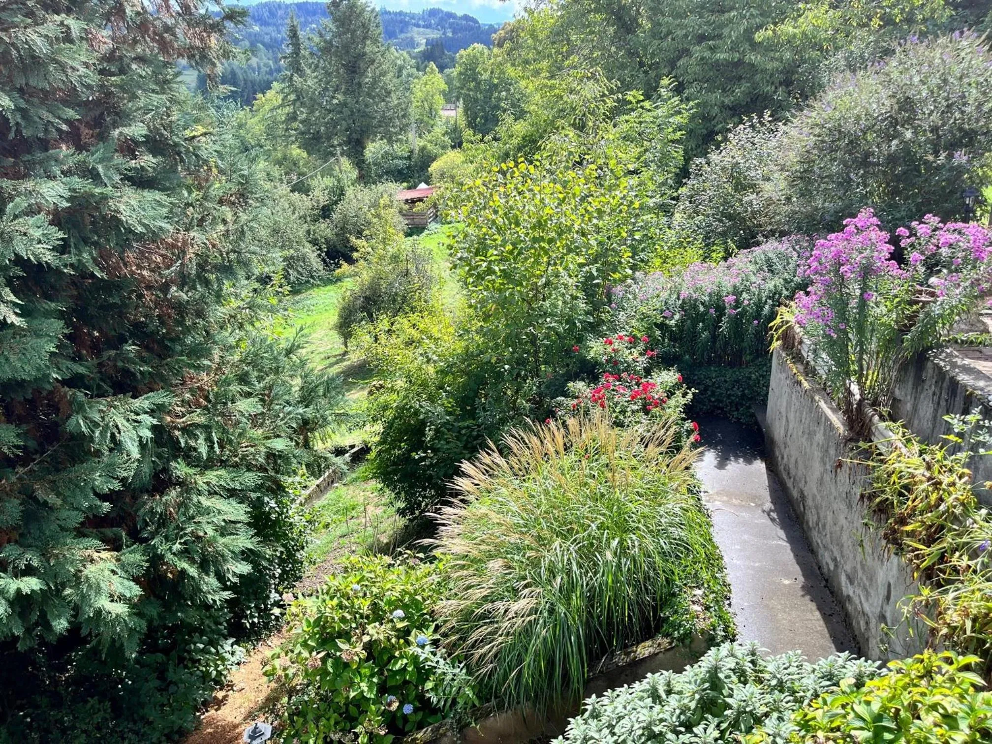 Garden in La Maison du Chevalier - Chambres et tables d'hôtes - adults only