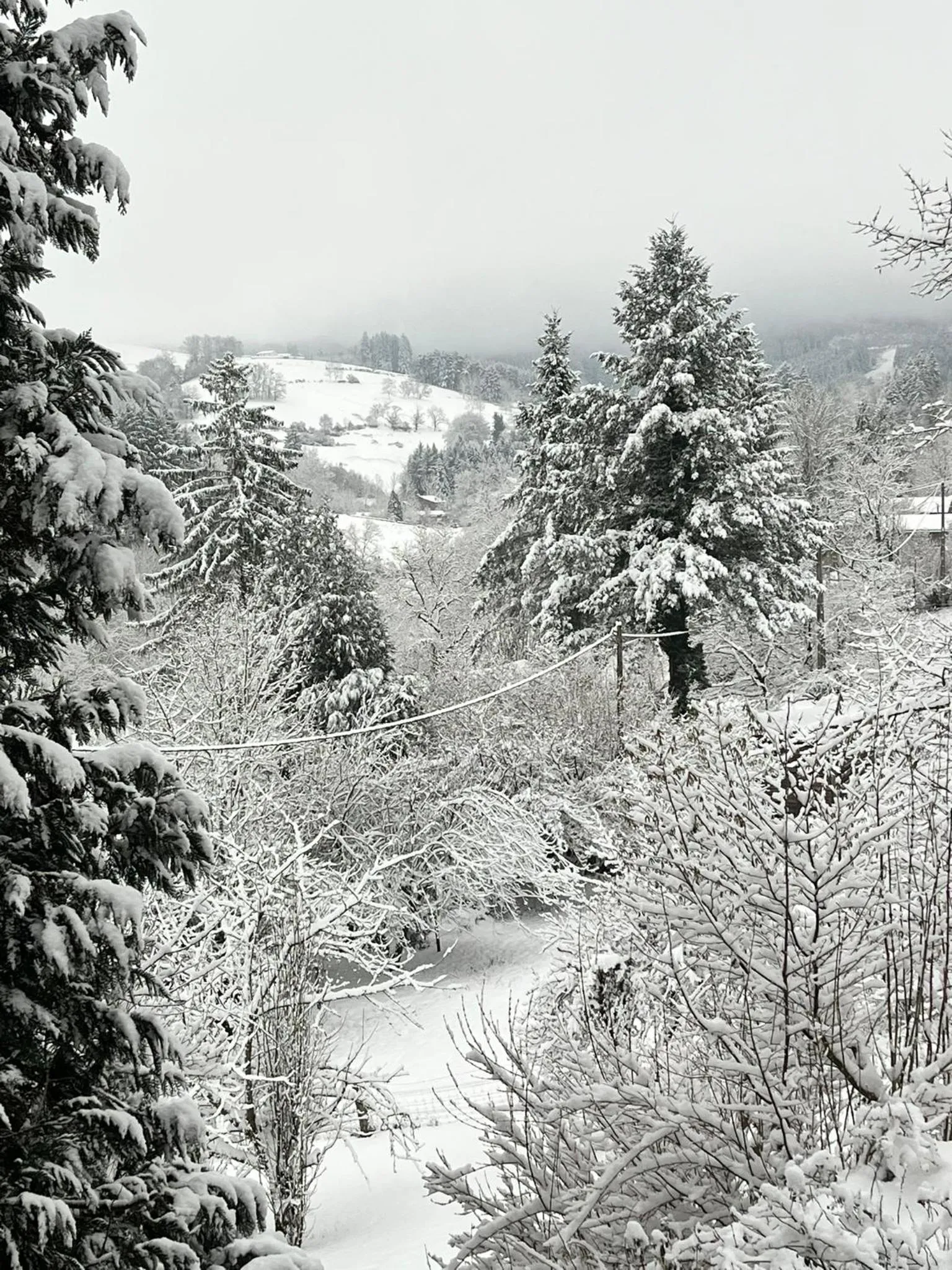 View (from property/room) in La Maison du Chevalier - Chambres et tables d'hôtes - adults only