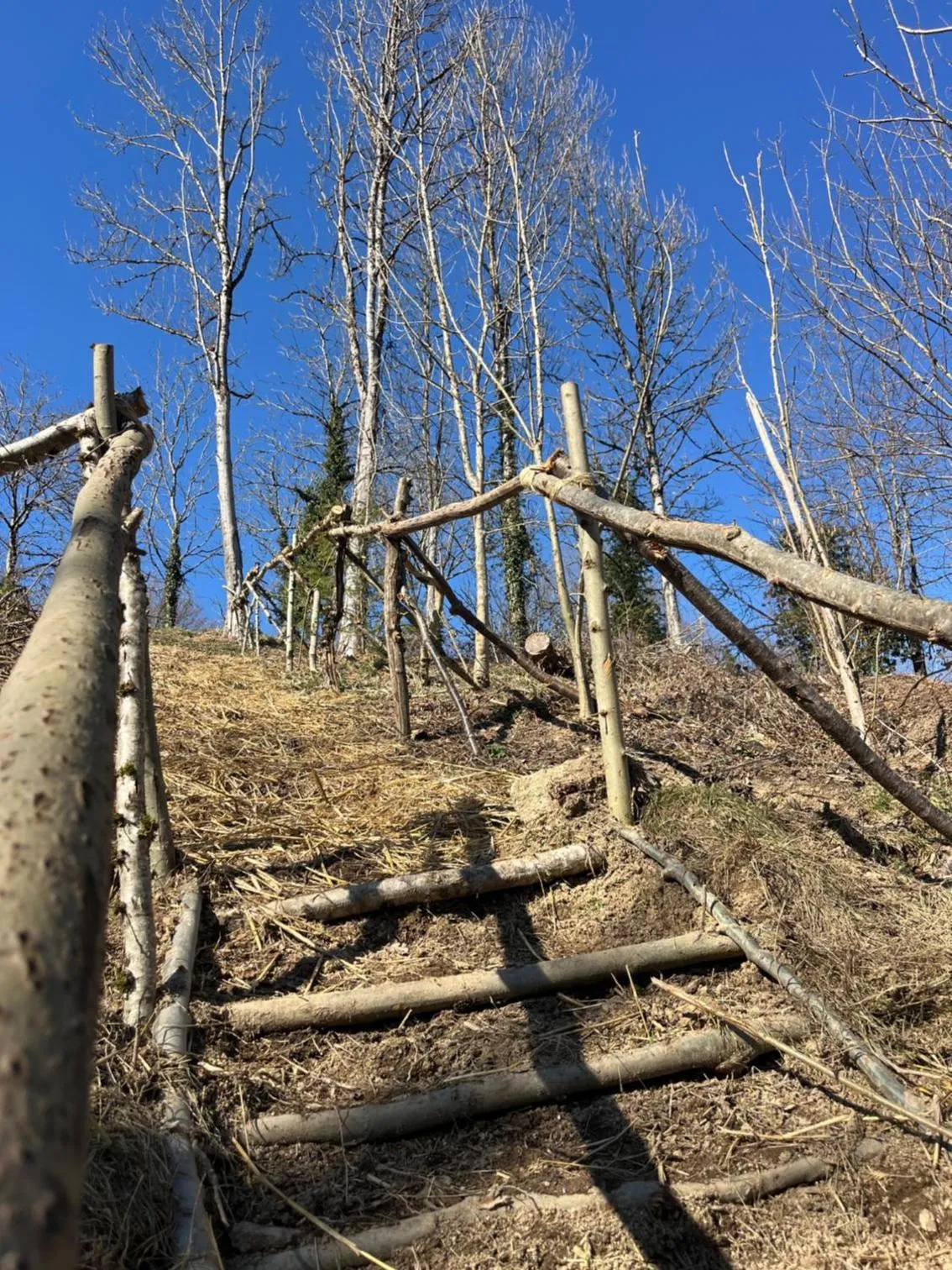 Property building in La Maison du Chevalier - Chambres et tables d'hôtes - adults only
