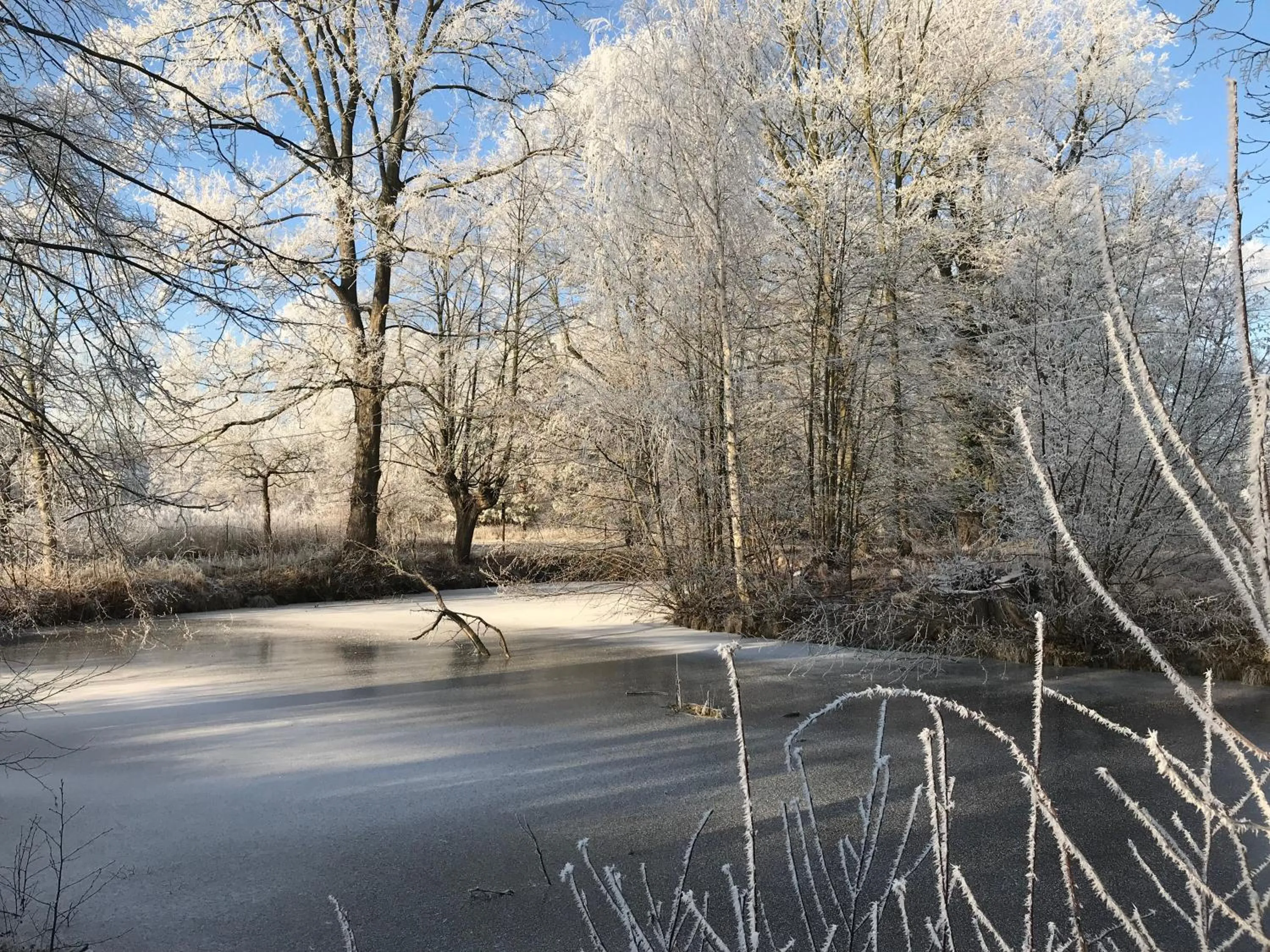 Natural landscape in Gut am See