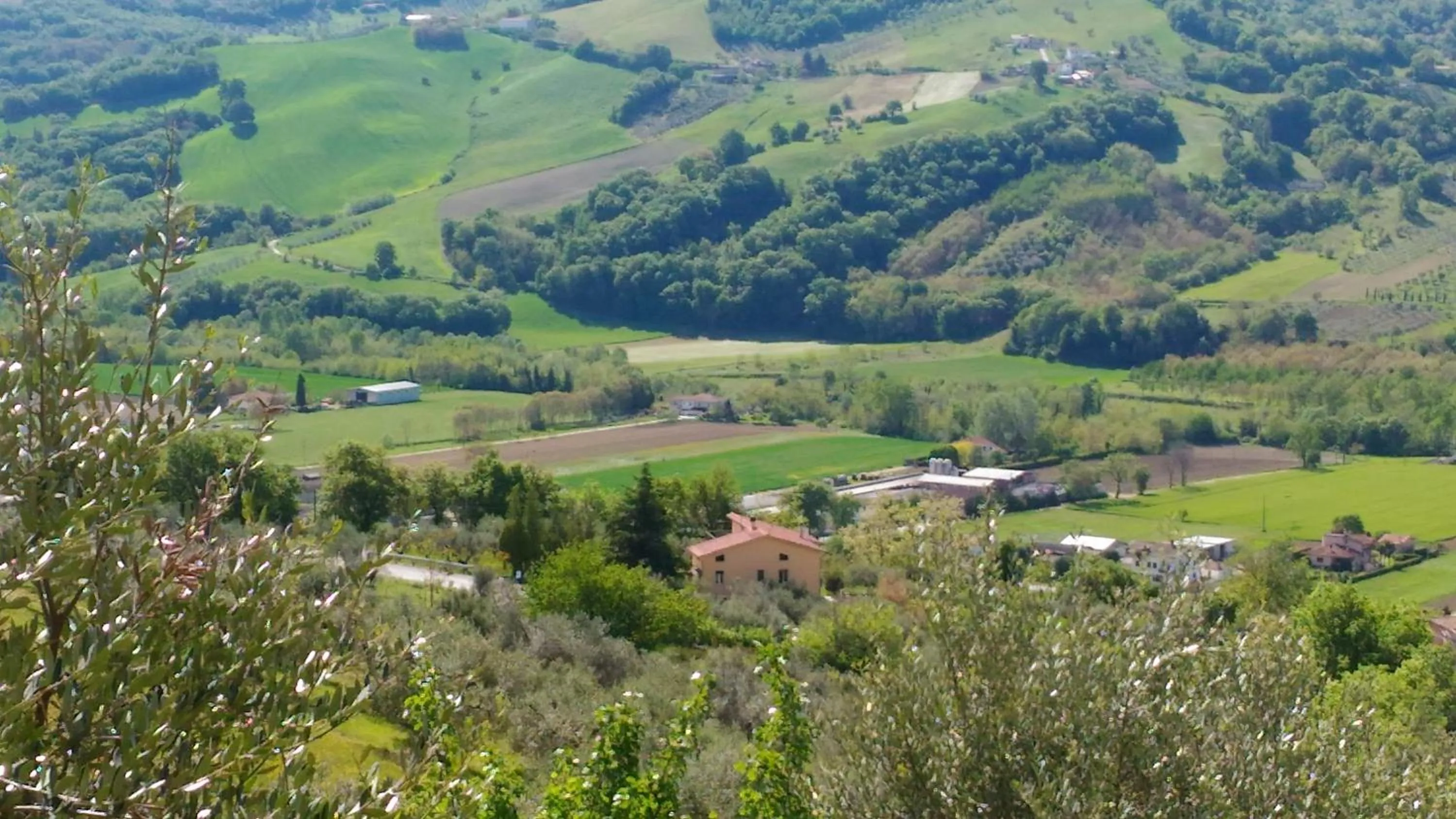 Garden in La Casa delle Storie