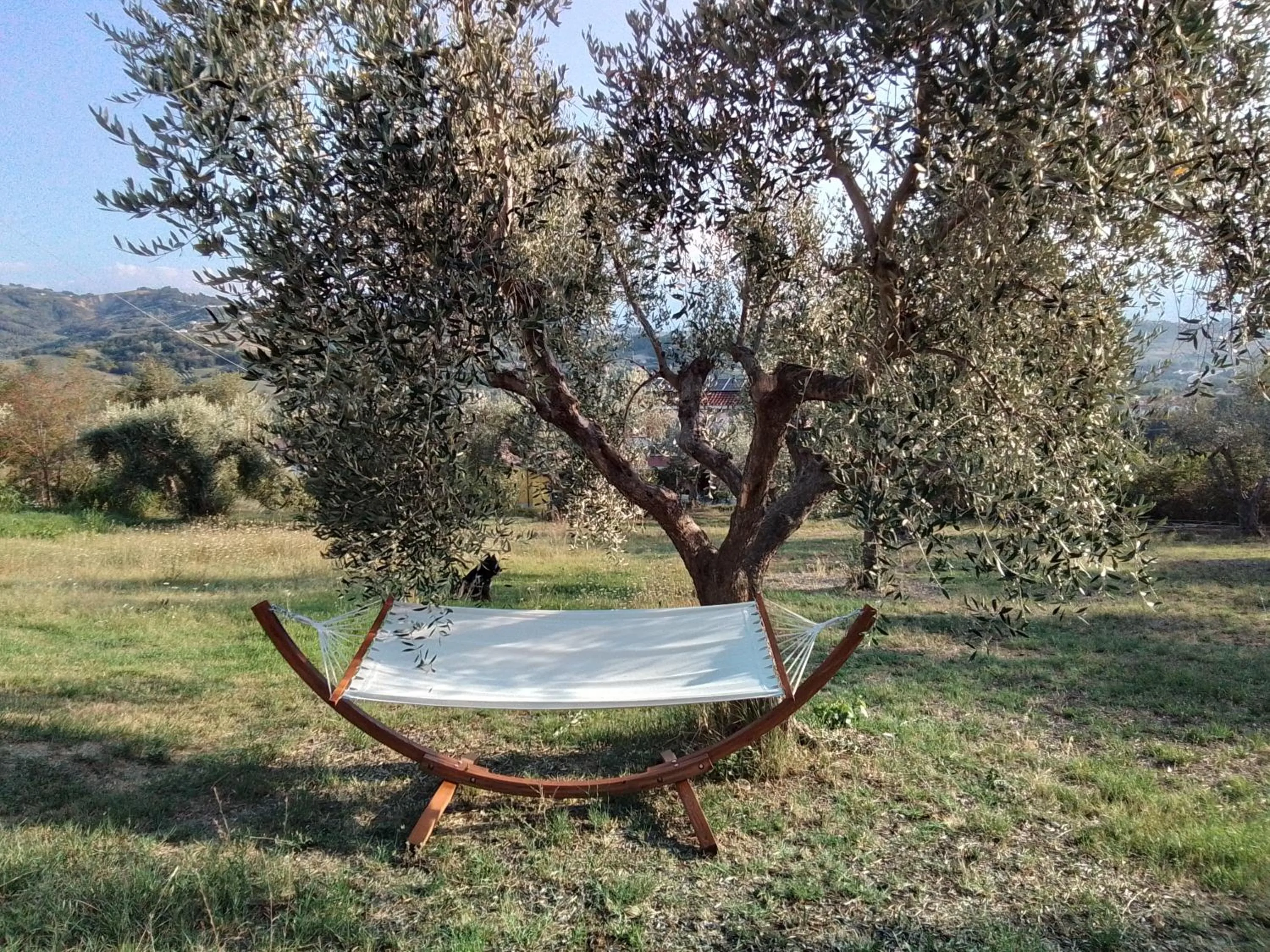 Garden in La Casa delle Storie