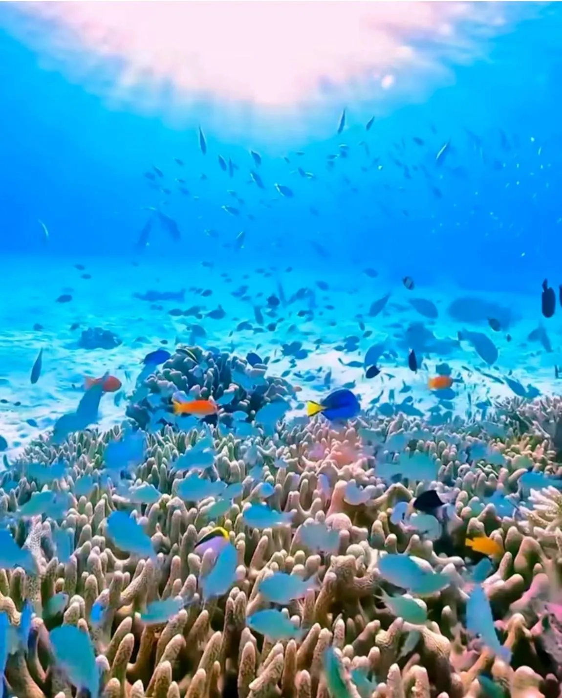 Sea view in Alibaba Bungalows