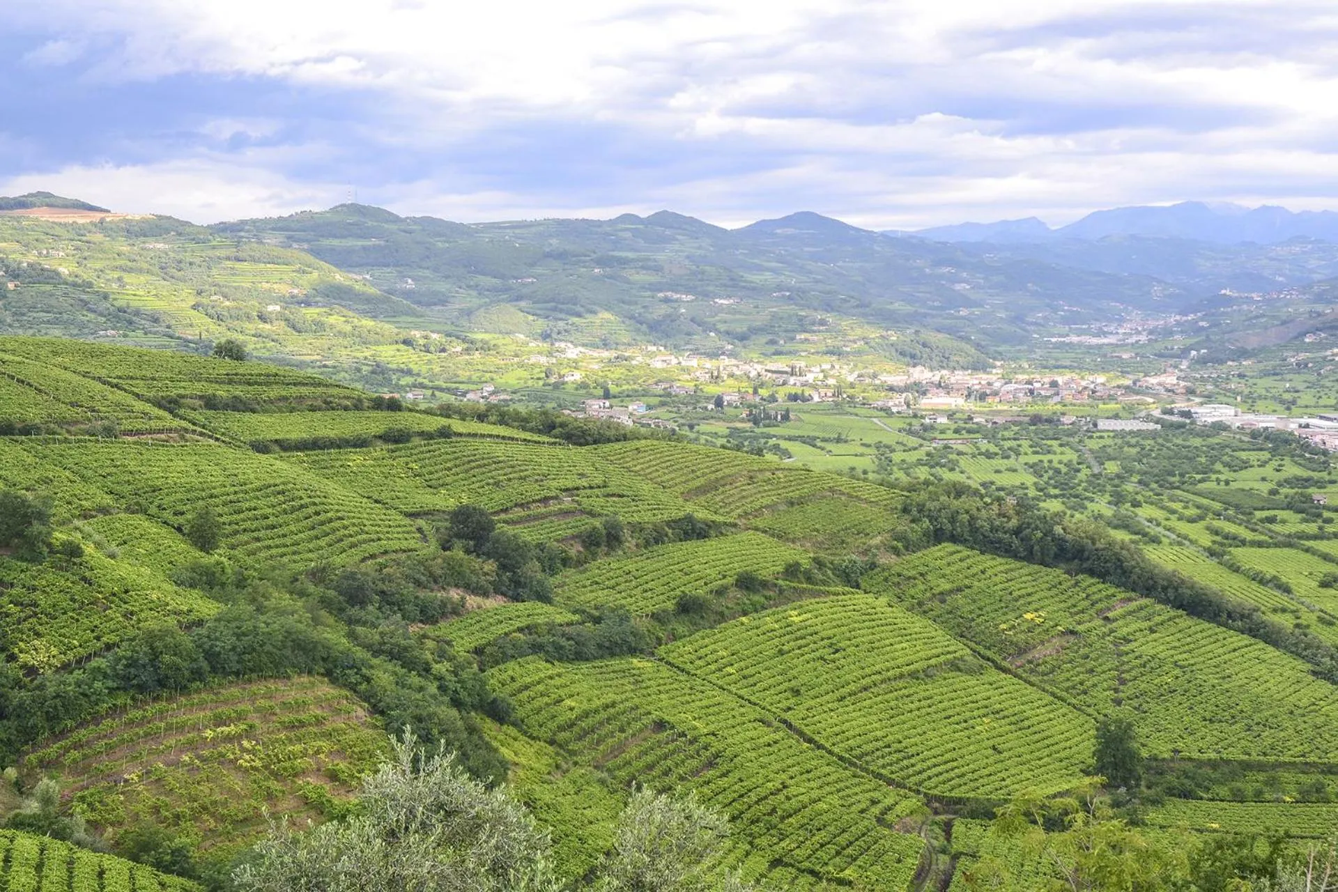 Natural landscape in B&B Antique Maison